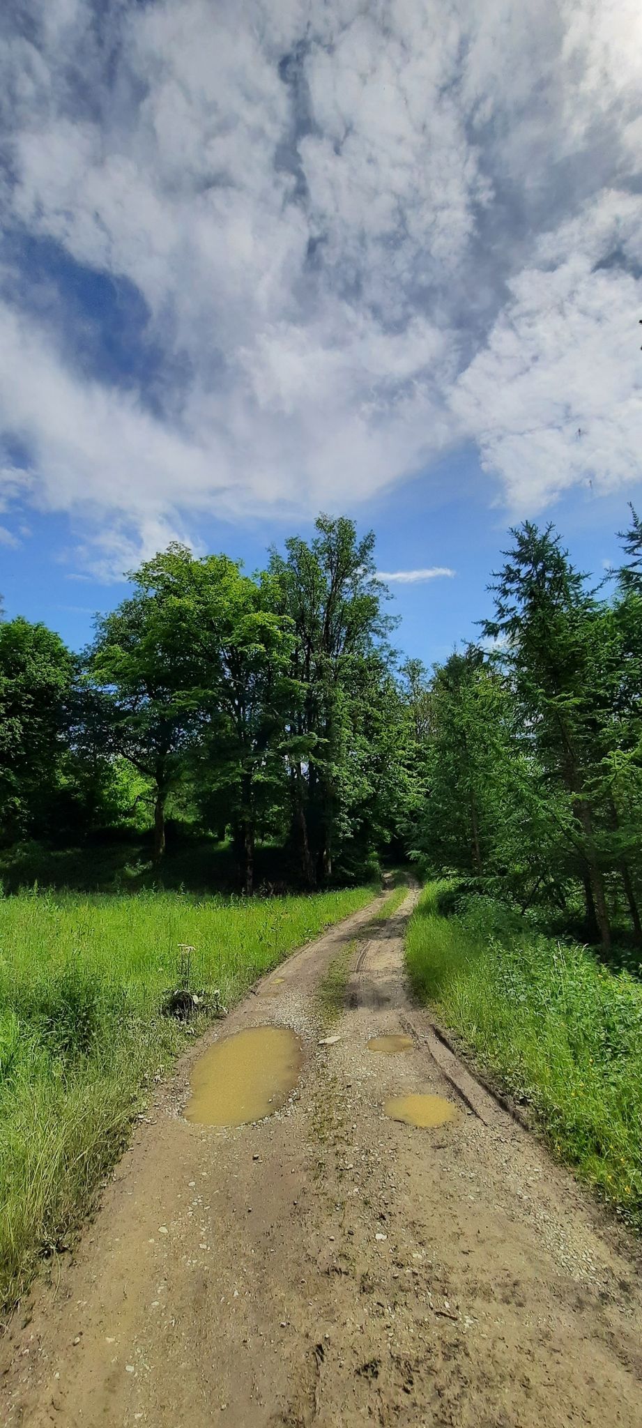 sentier