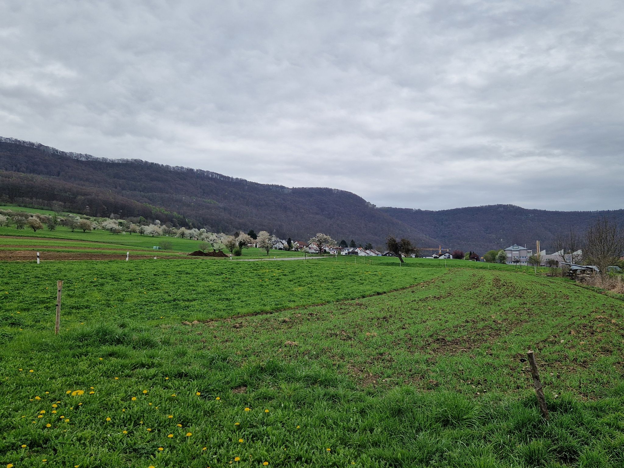 Glems mit Roßfeld