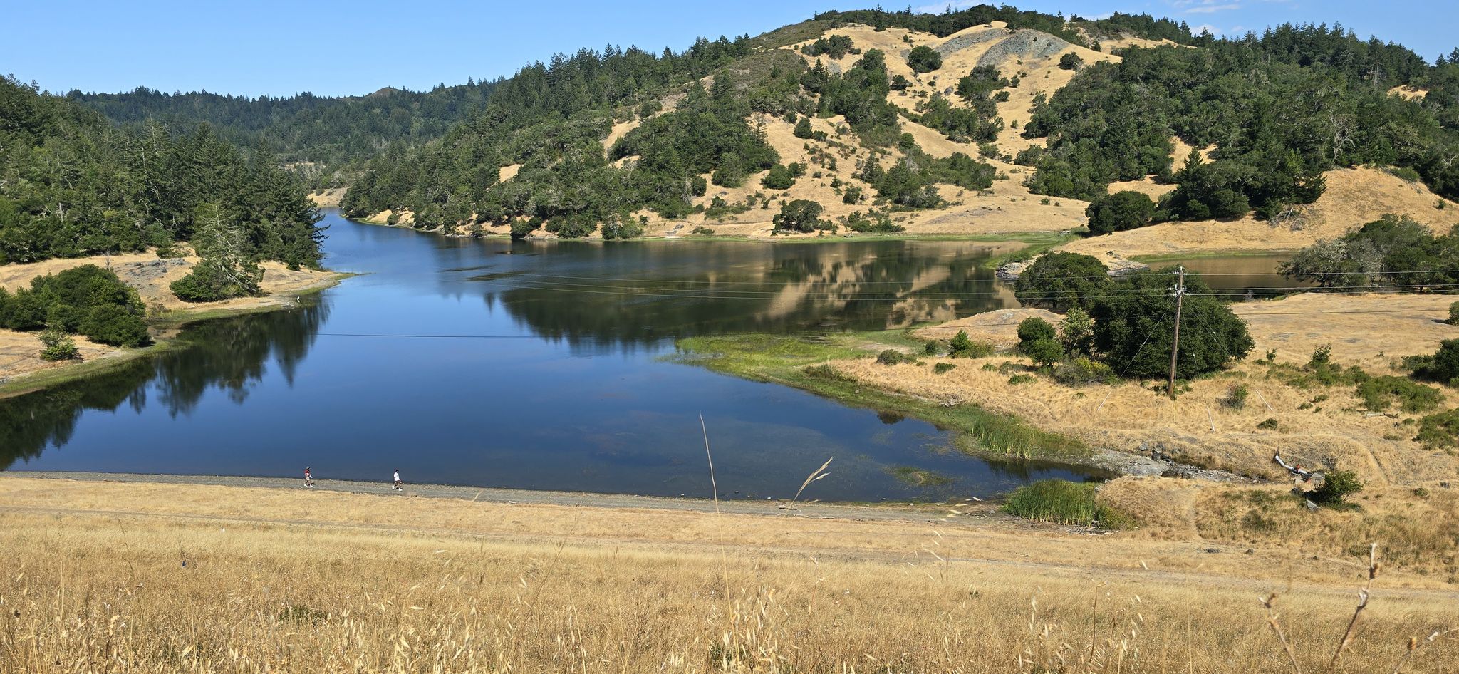 Sunny view of a narrow lake surrounded by dry hills and scattered trees. - Bon Tempe Lake and Cataract Falls Loop Trail