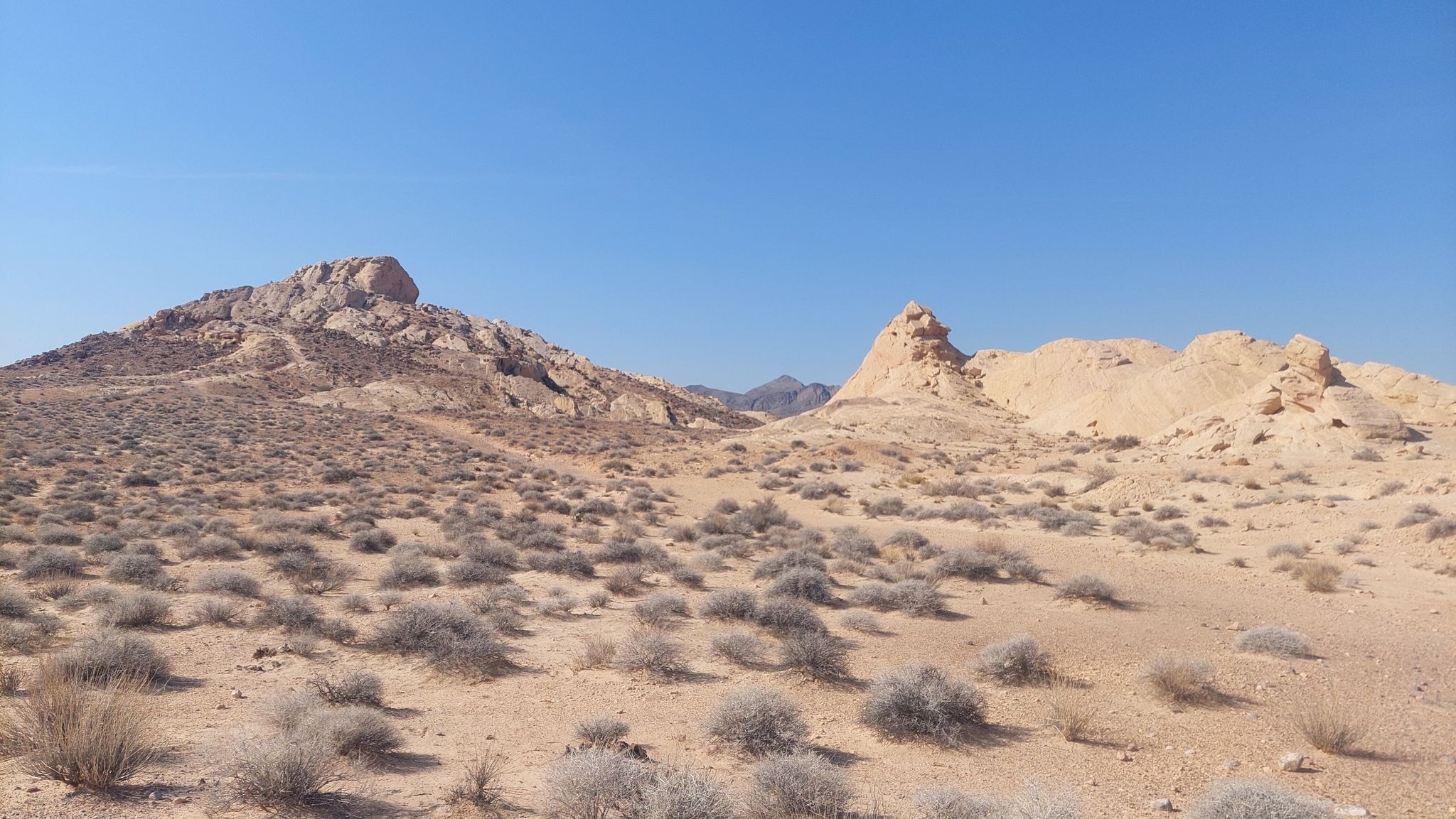Desert landscape with rocky hills and sparse bushes under a clear blue sky. - Silica Dome Trail
