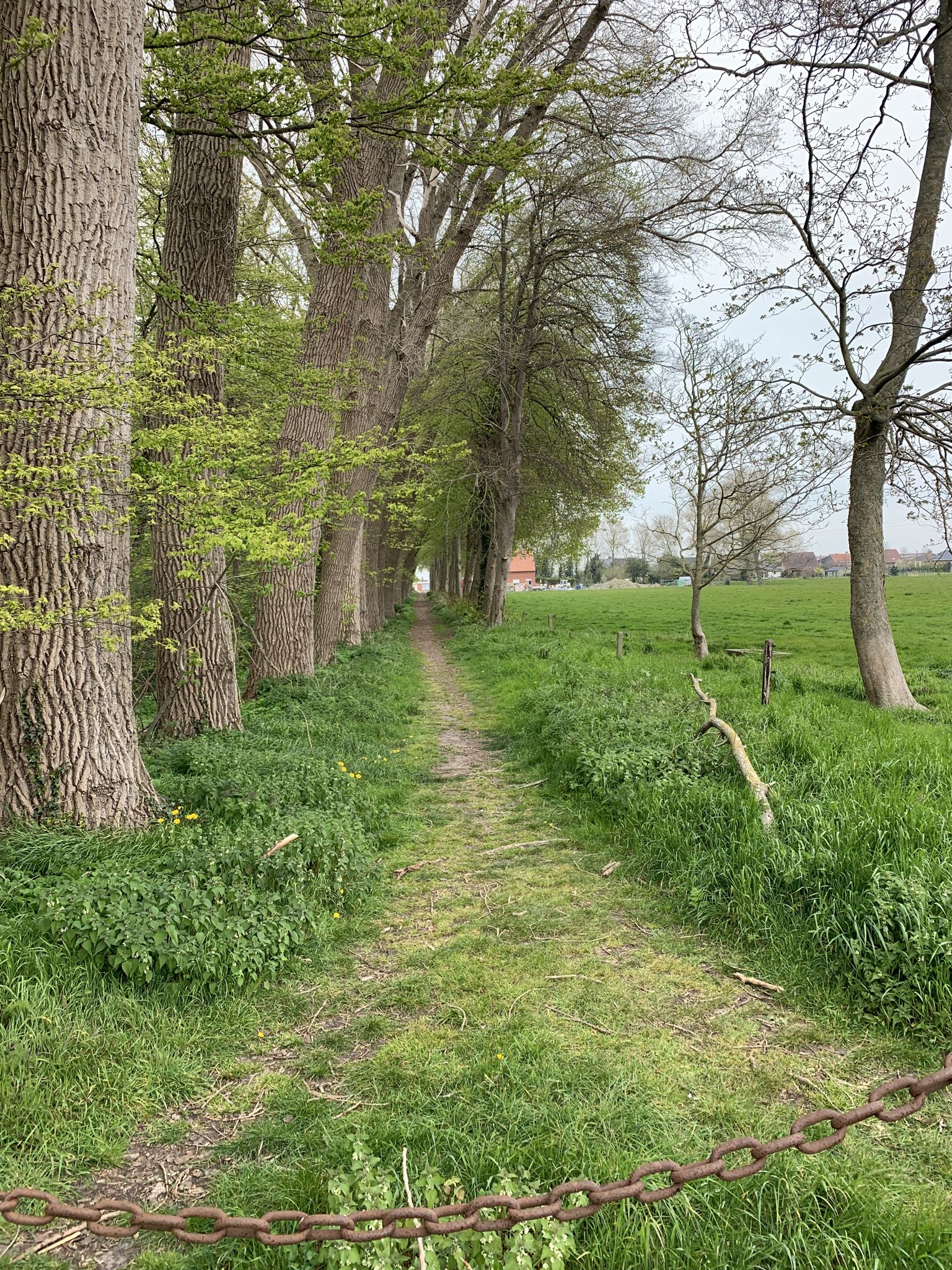 Mooie dreef tussen beekstraat en provincieweg 