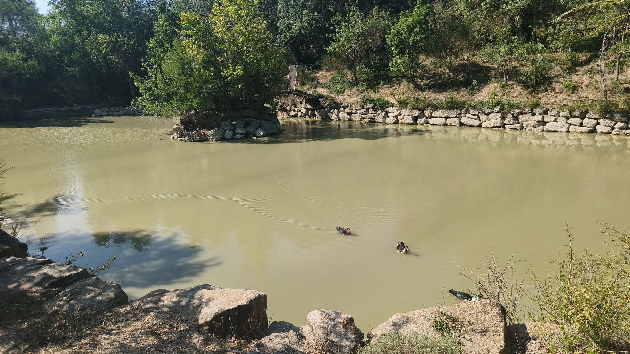 lac