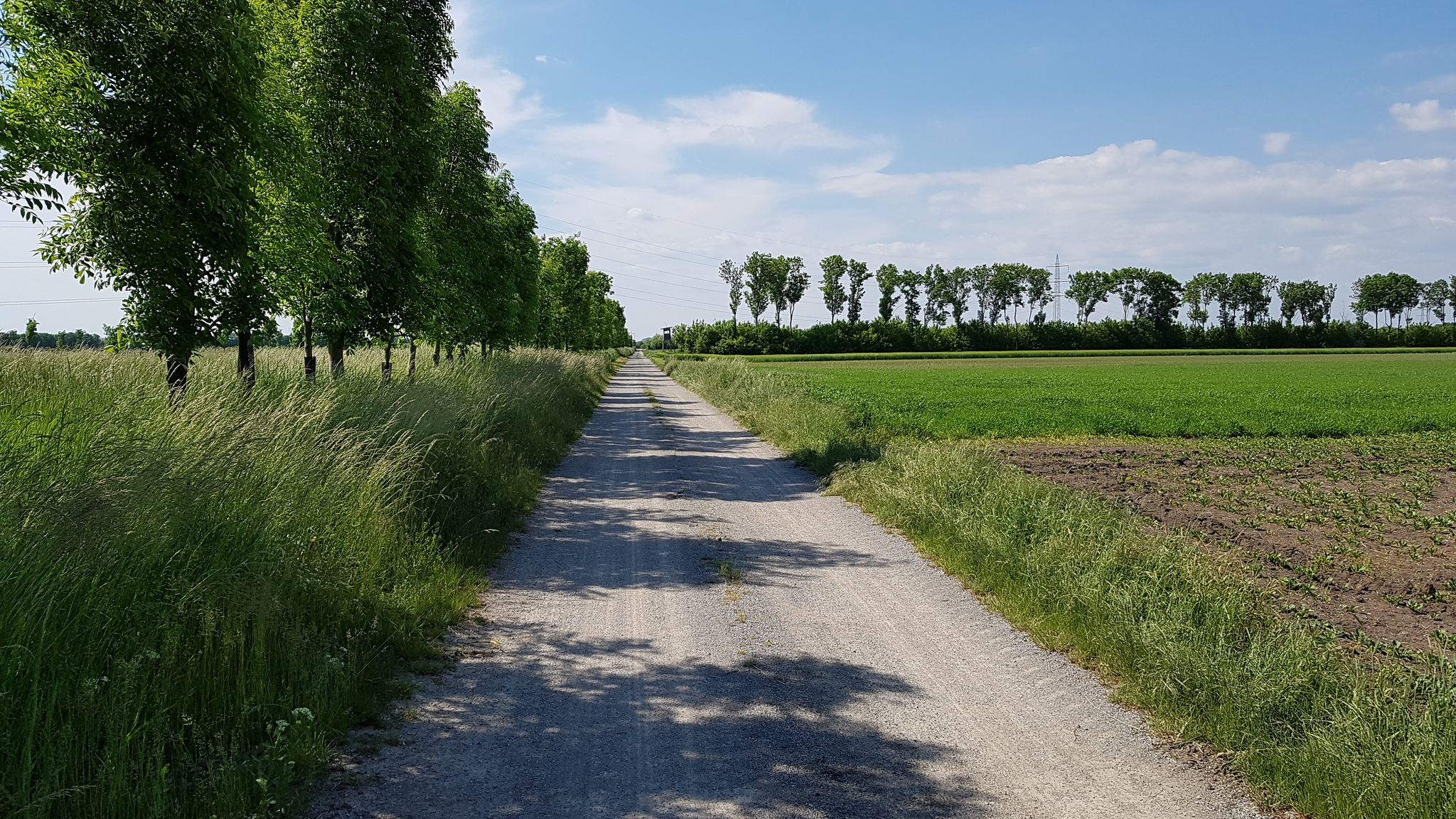 Richtung Dobermannsdorf