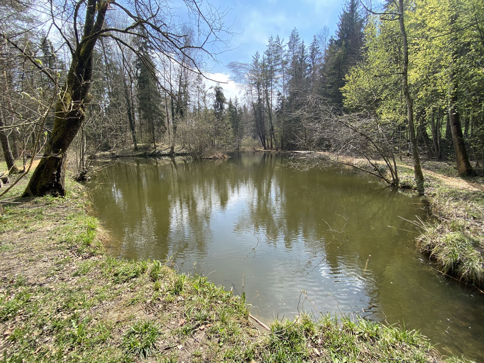 Idyllischer Feldenmoosweiher🤣👍