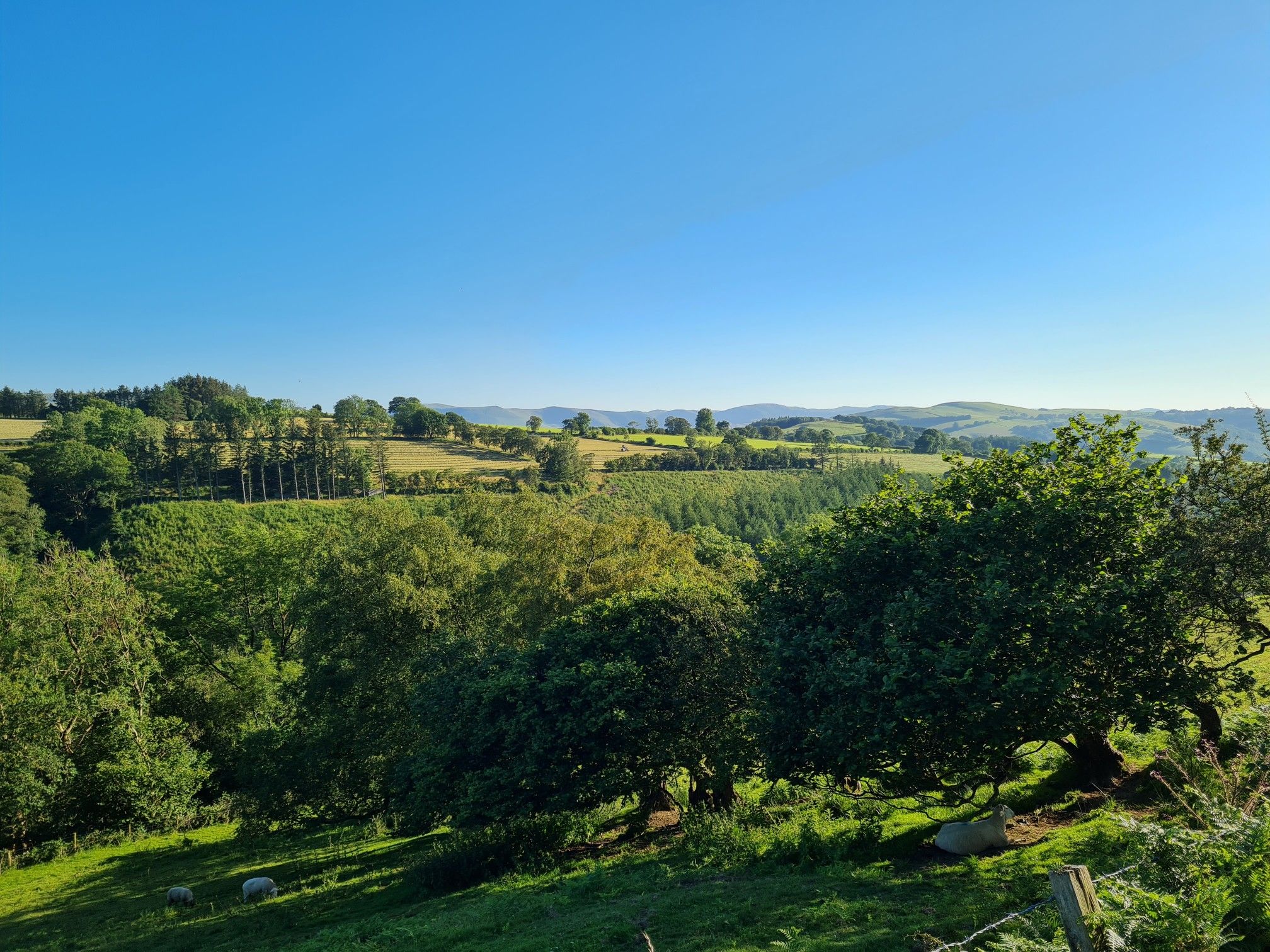 views of the valley