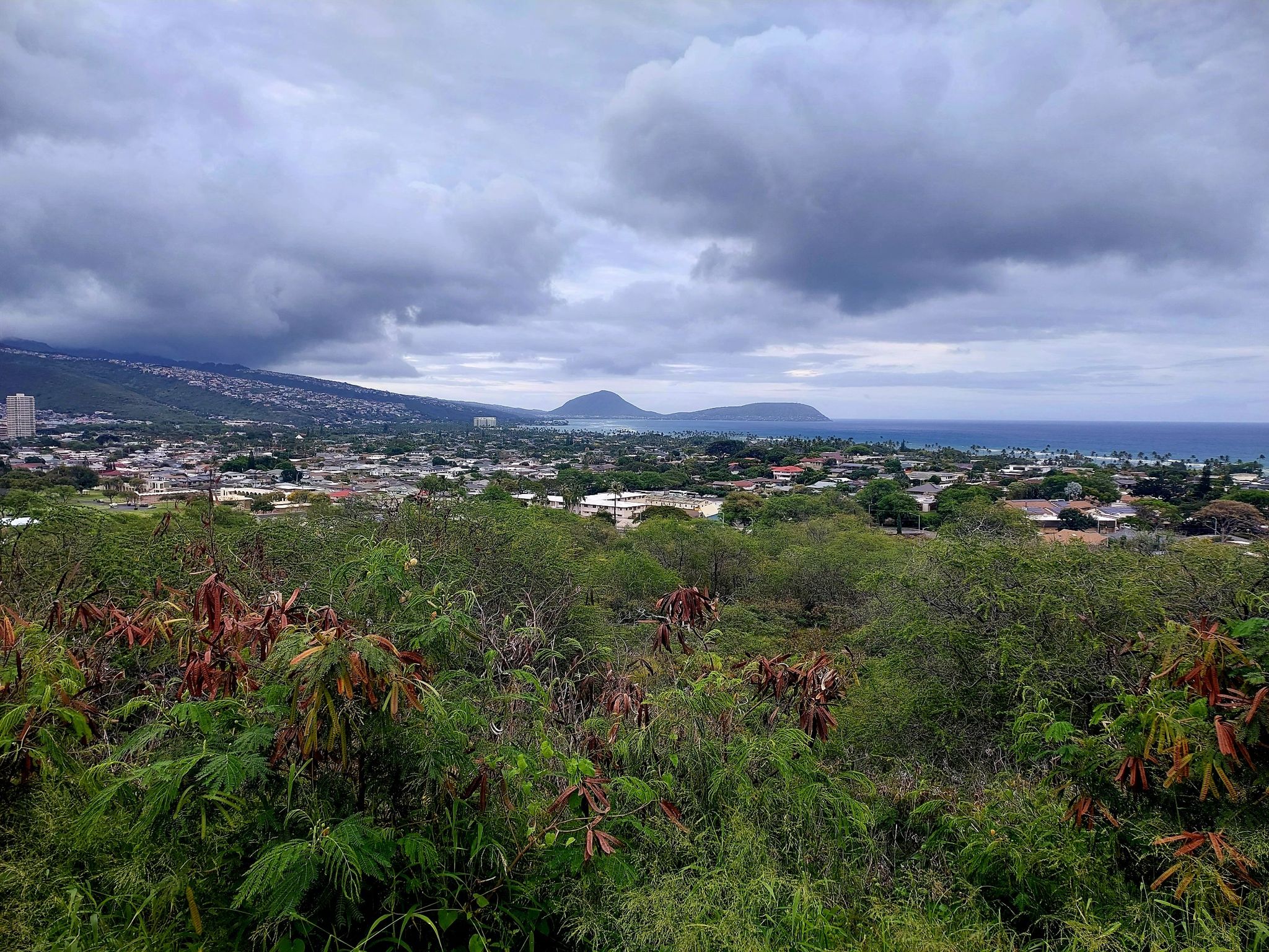 Overcast view of a town, green trees, ocean, and distant mountains. - Diamond Head via Kalākaua Avenue loop
