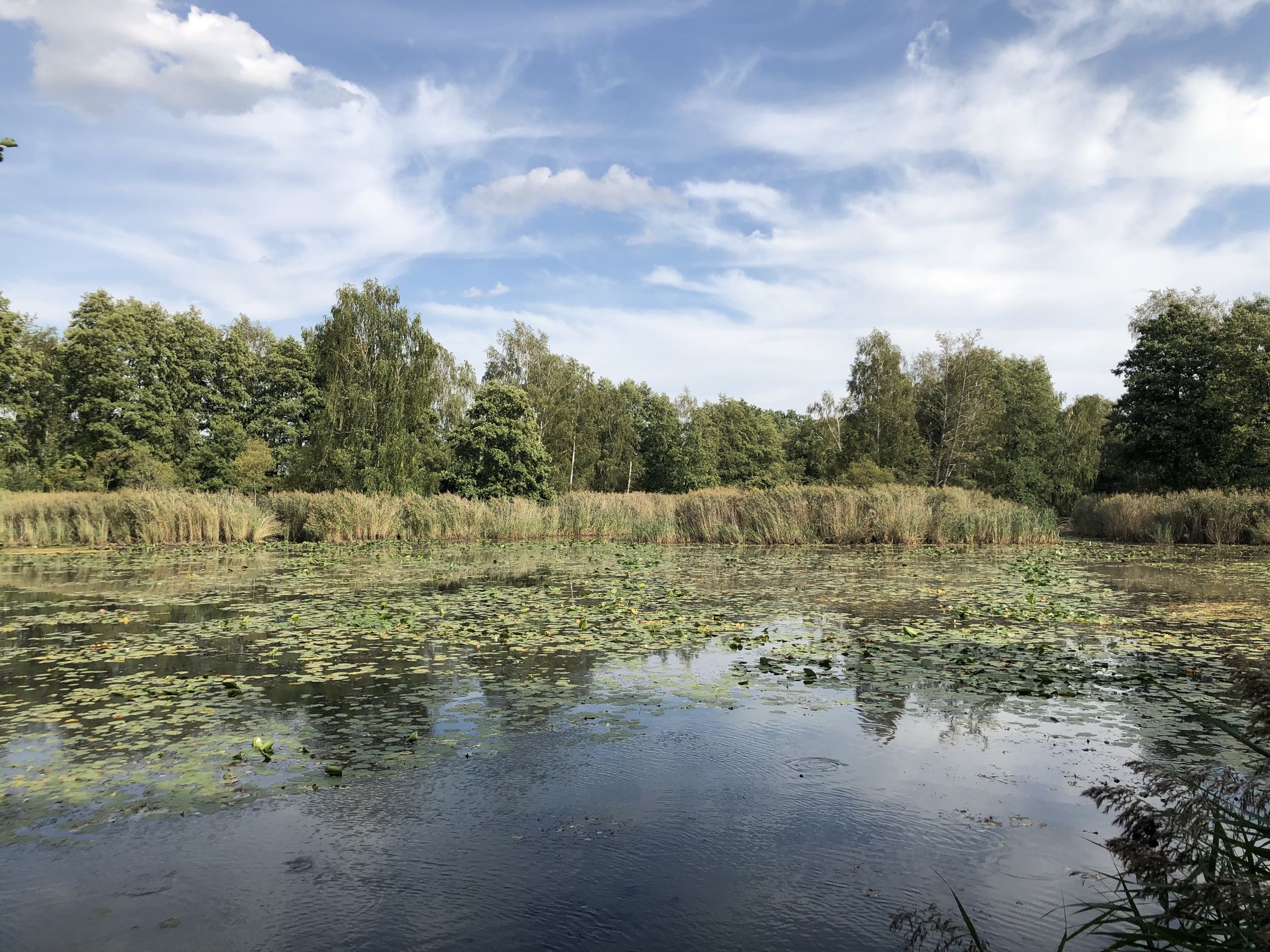 Namenloser Teich 1