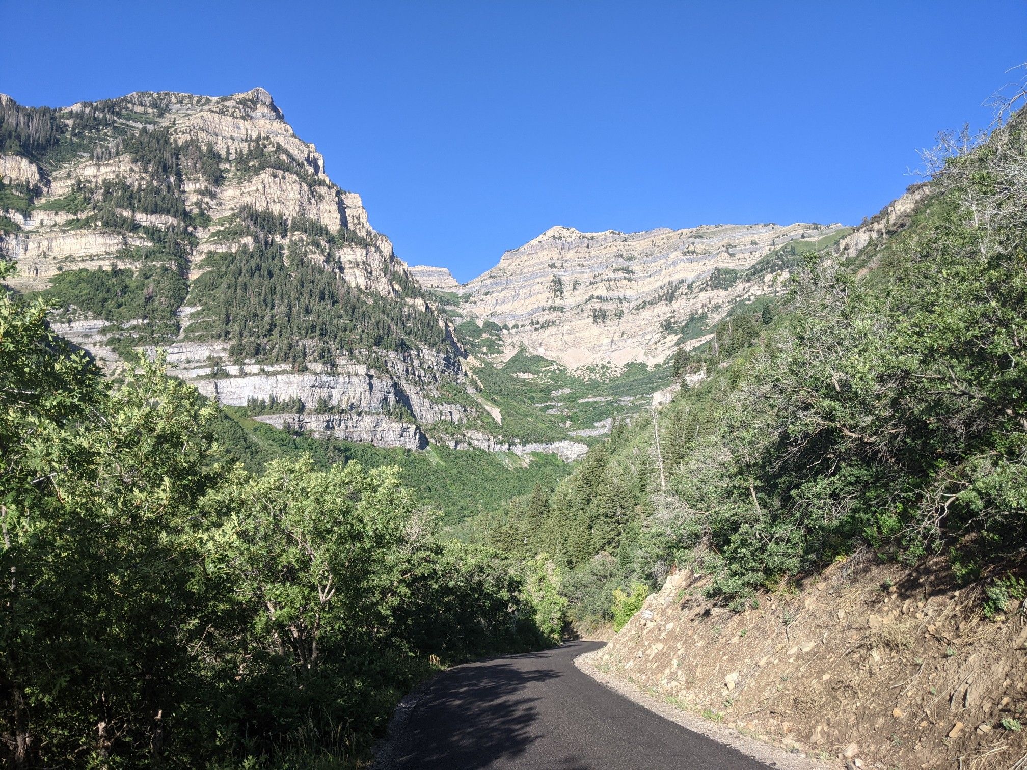 Paved road winding through a deep mountain canyon with steep, forested cliffs. - Cascade Springs – Deer Creek Overlook loop from Soldier Hollow