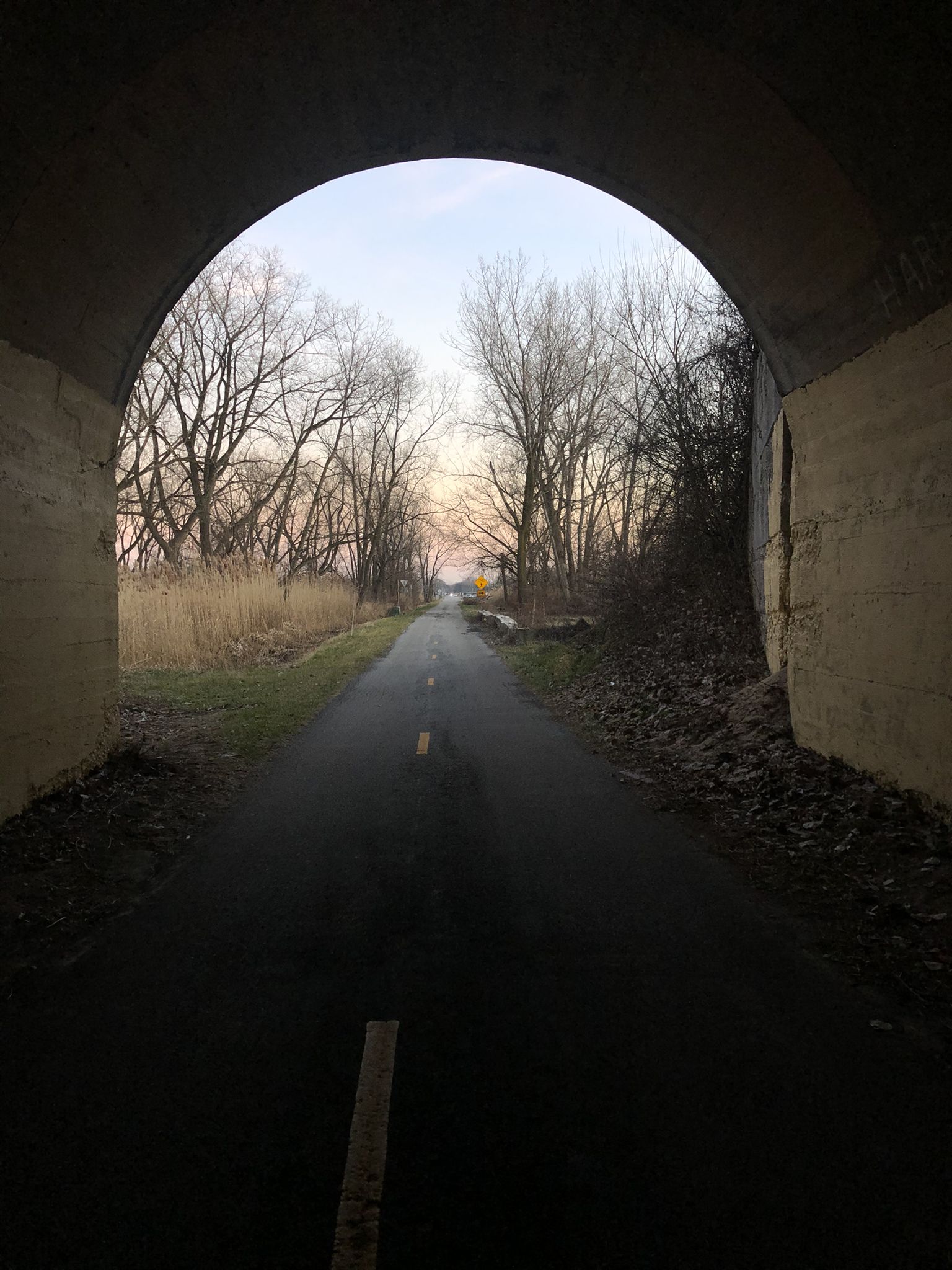 A paved path exits a dark tunnel into a landscape of bare trees. - Pennsy Greenway