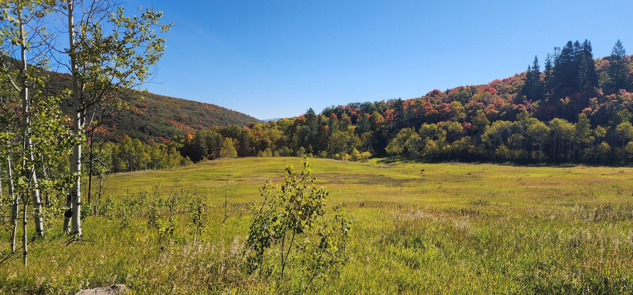 Expansive green meadow with distant hills covered in autumn trees under a clear sky. - Green Pond loop from Green Pond Trailhead