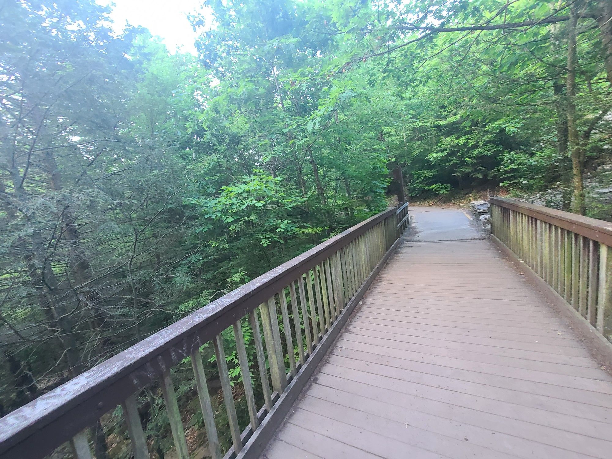 A long wooden bridge with railings extends through a dense green forest. - Seven Tubs Main Loop