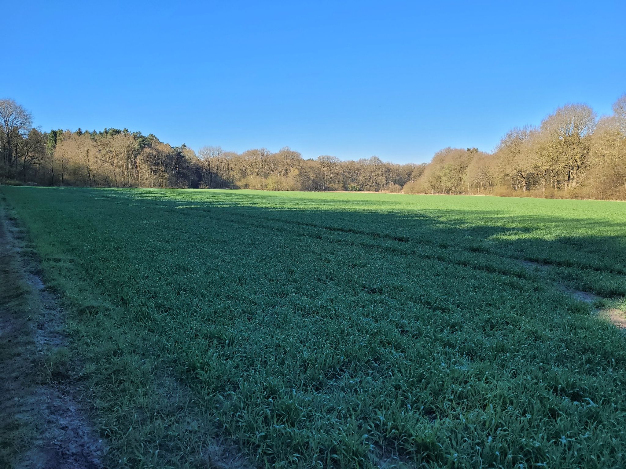 Wald und Wiese