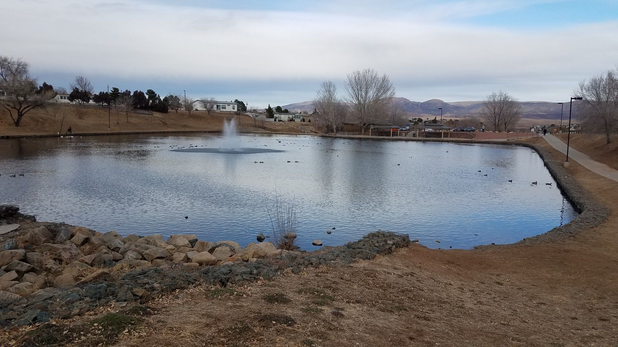 Overcast view of a pond with a fountain, ducks, and bare trees. - Prescott Valley Bicycle Route 1 Loop