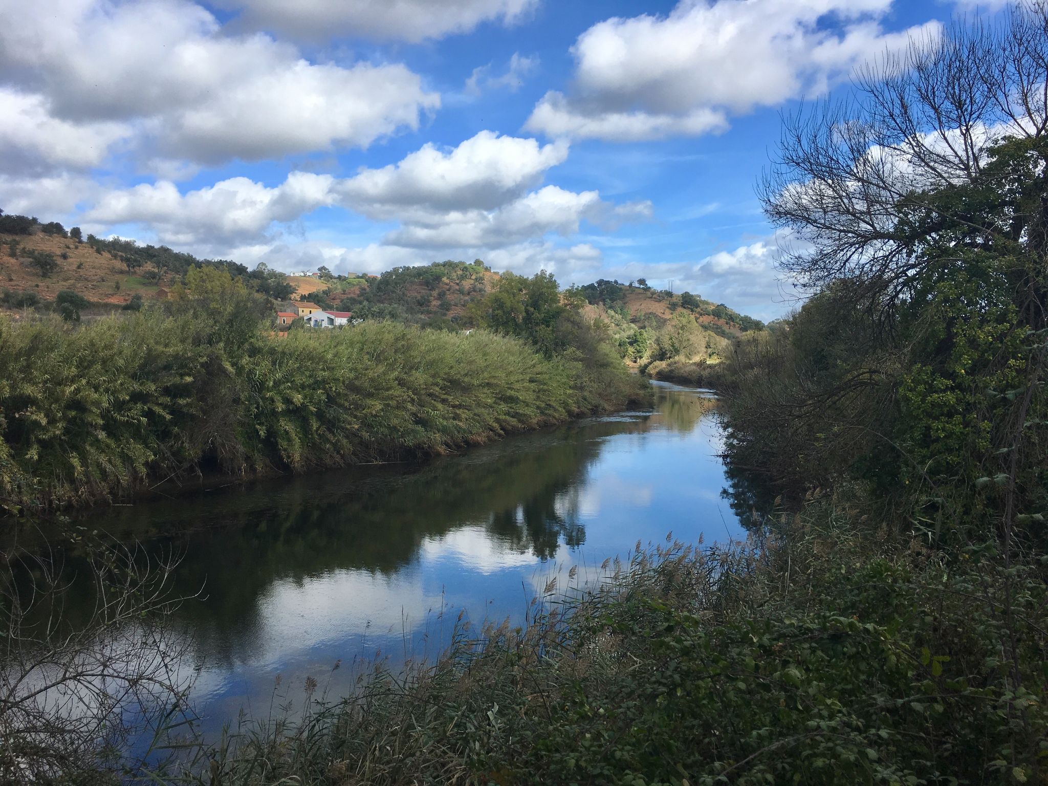 Rio Mira