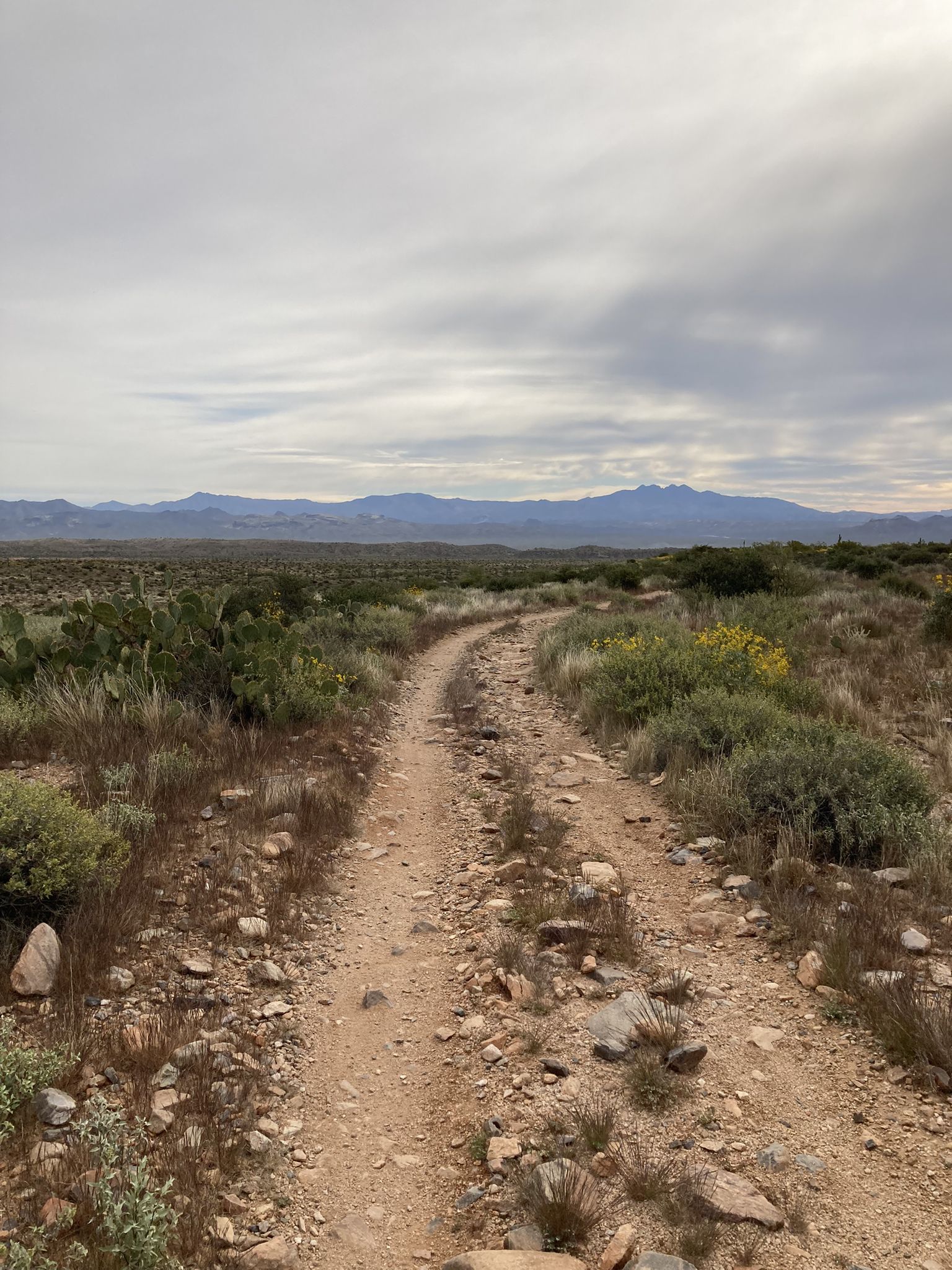 Winding dirt path through desert flora under a cloudy sky. - Pemberton, Bluff, and Granite Loop