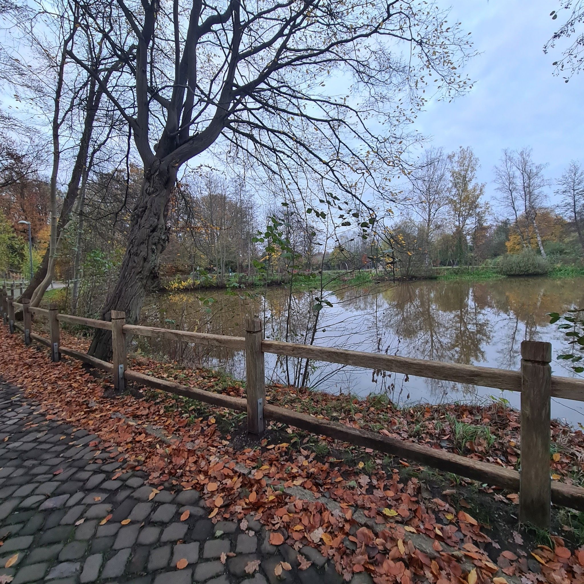 am Mühlteich