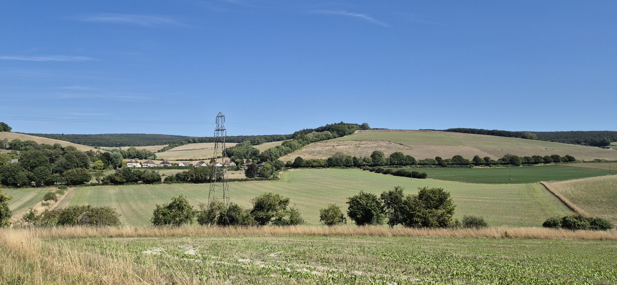 View from East Dean Hill