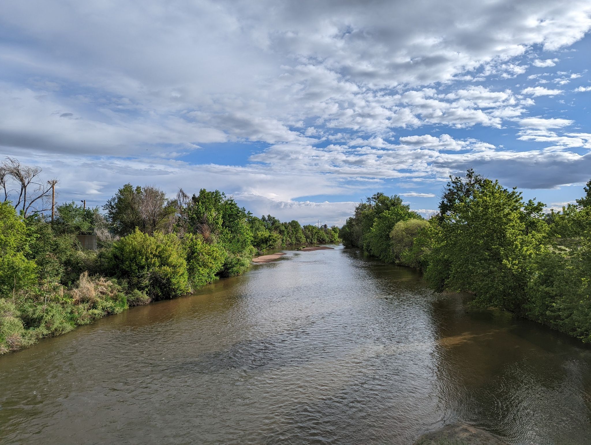 A wide river flows between dense green trees under a cloudy sky. - Clear Creek, South Platte River & Bear Creek Trail Loop