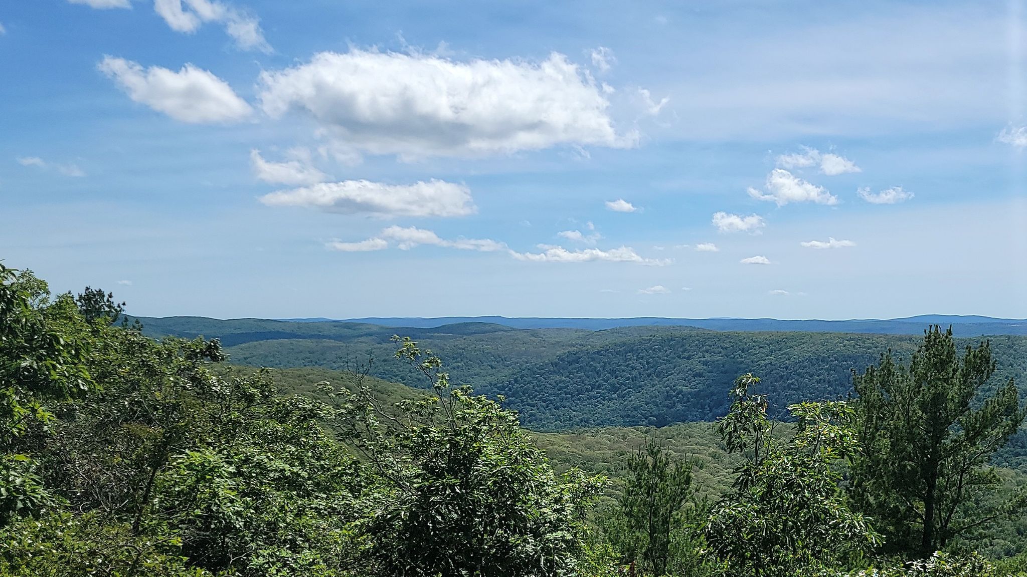 Lush green forested mountains under a bright blue sky with white clouds. - Macedonia Ridge Trail