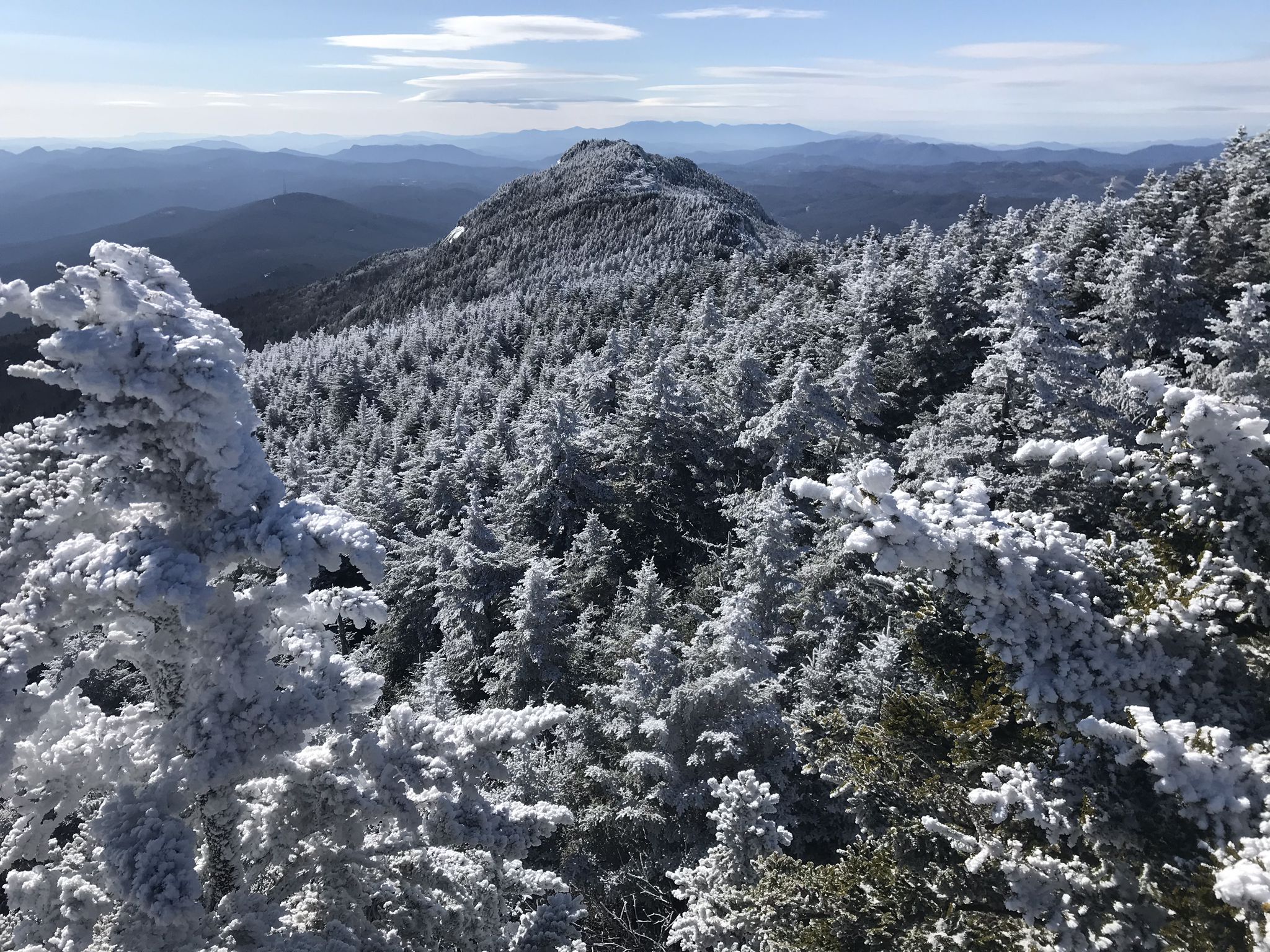 Expansive view of snow-covered evergreen forest and distant mountain peaks. - Daniel Boone Scout Trail