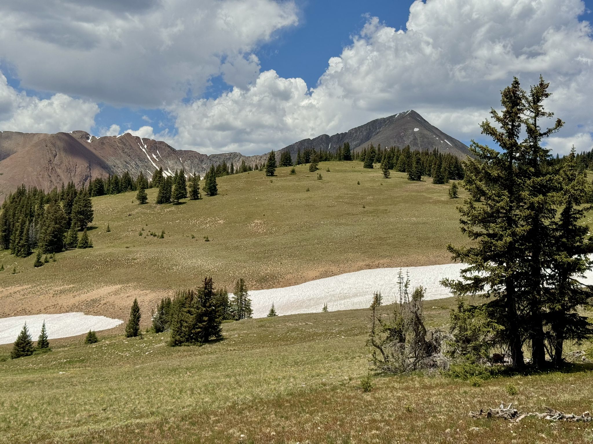 Mountain landscape with snow patches, green hills, and pine trees under a cloudy sky. - Colorado Trail and West Jefferson Loop