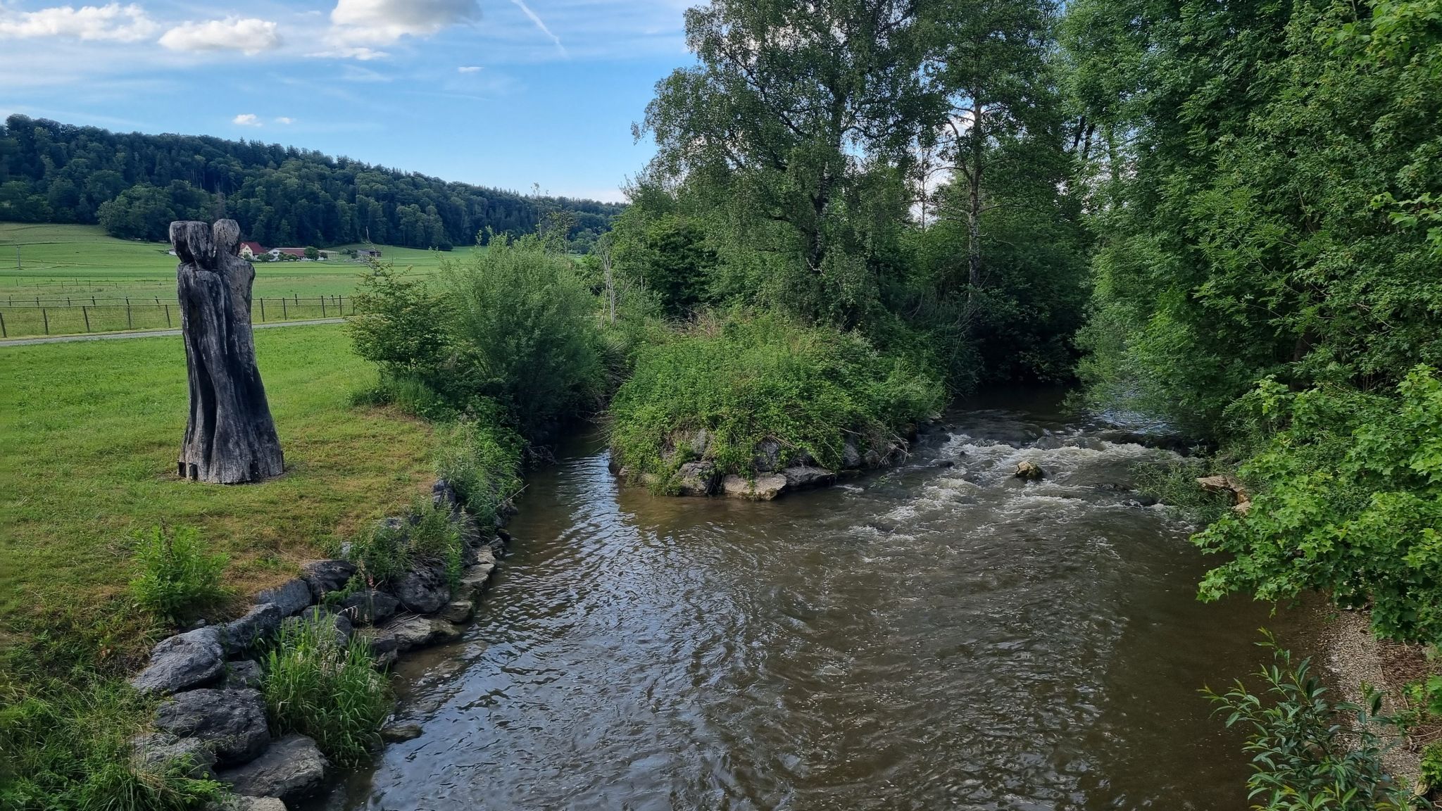 Krummensbach mündet in die Schussen