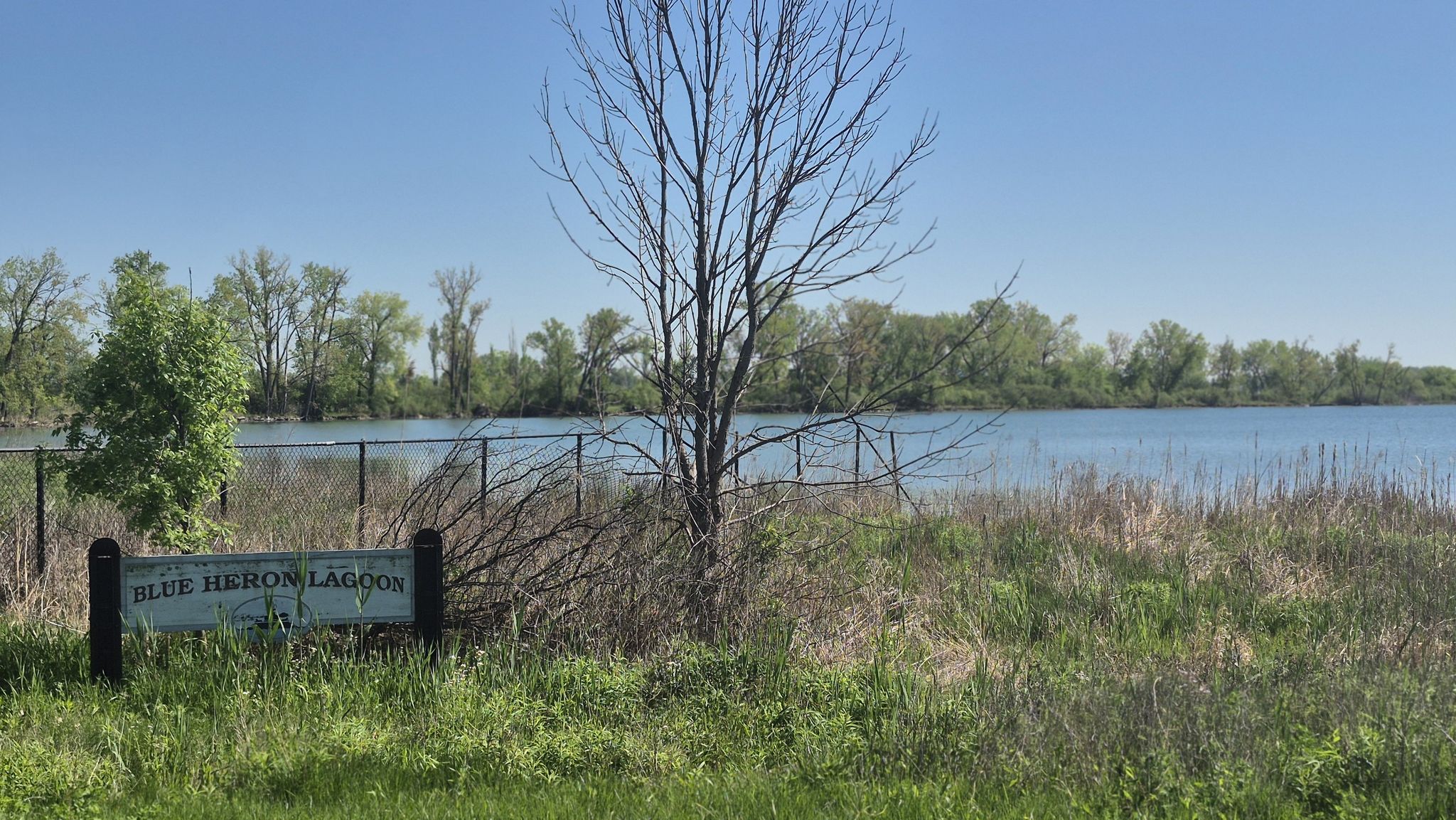 Sign by a lake with tall grass, a fence, and distant trees. - Belle Isle Beach – Belle Isle Park loop from Indian Village