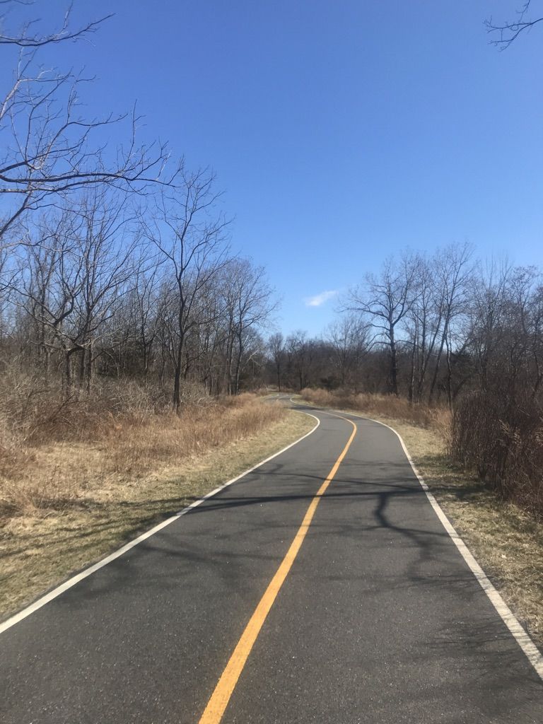 Paved path curves through a dry, open forest under a clear blue sky. - Roadbike loop from Stony Brook