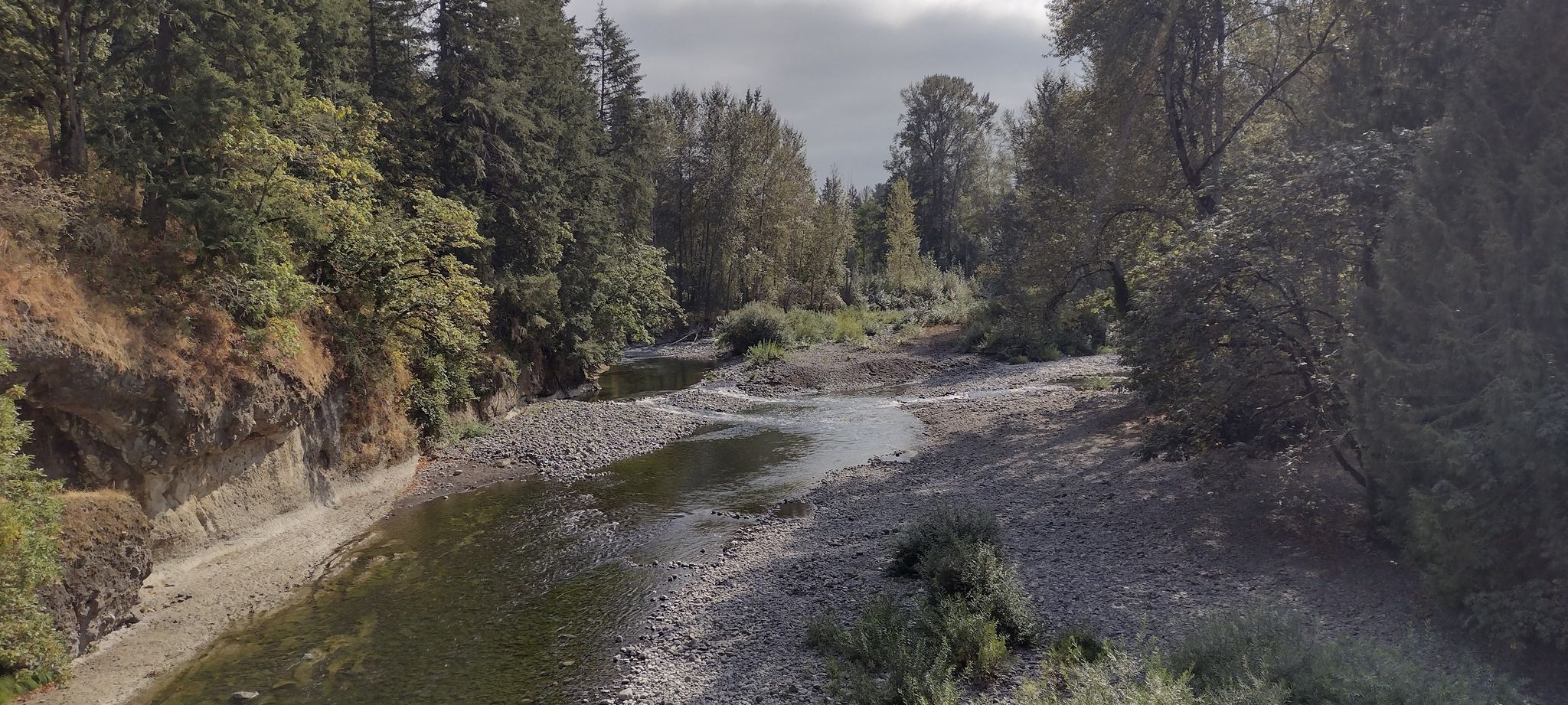 A shallow river with rocky banks winds through a green forest under a cloudy sky. - Molalla River Loop via South Dickey Prairie Road