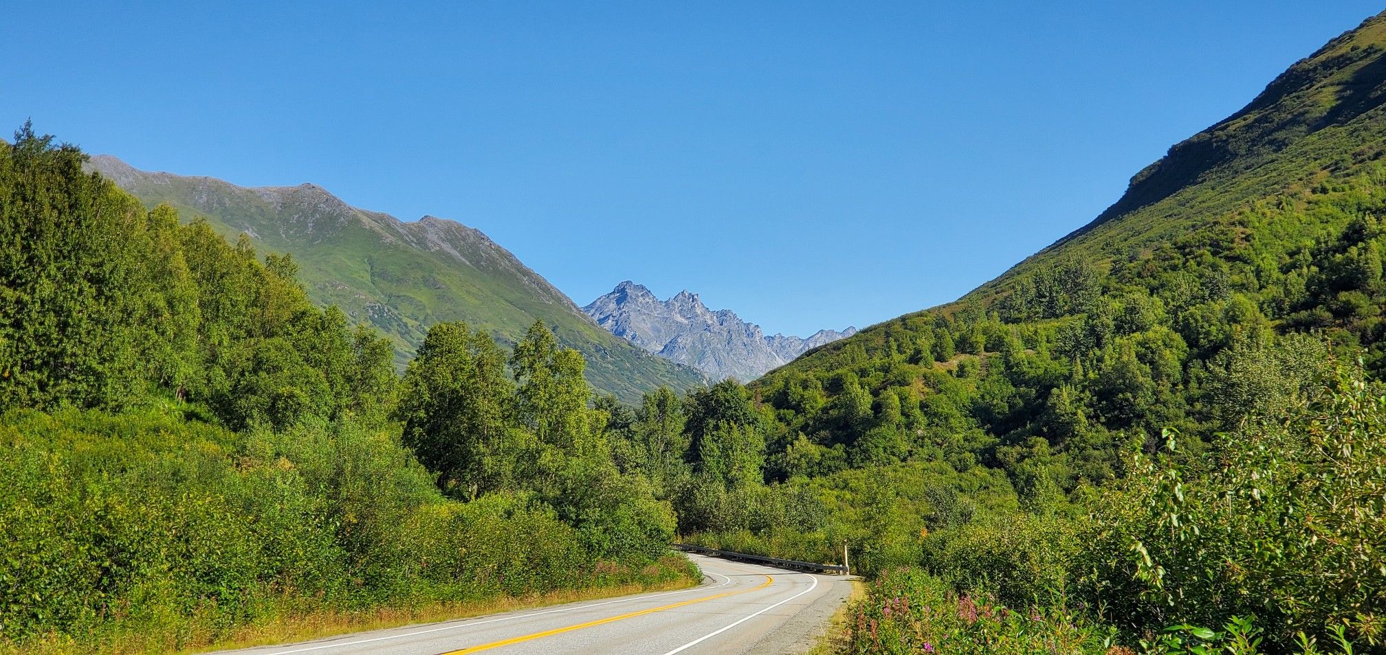 Paved road winding through a lush green mountain valley on a sunny day. - Roadbike loop from Gateway