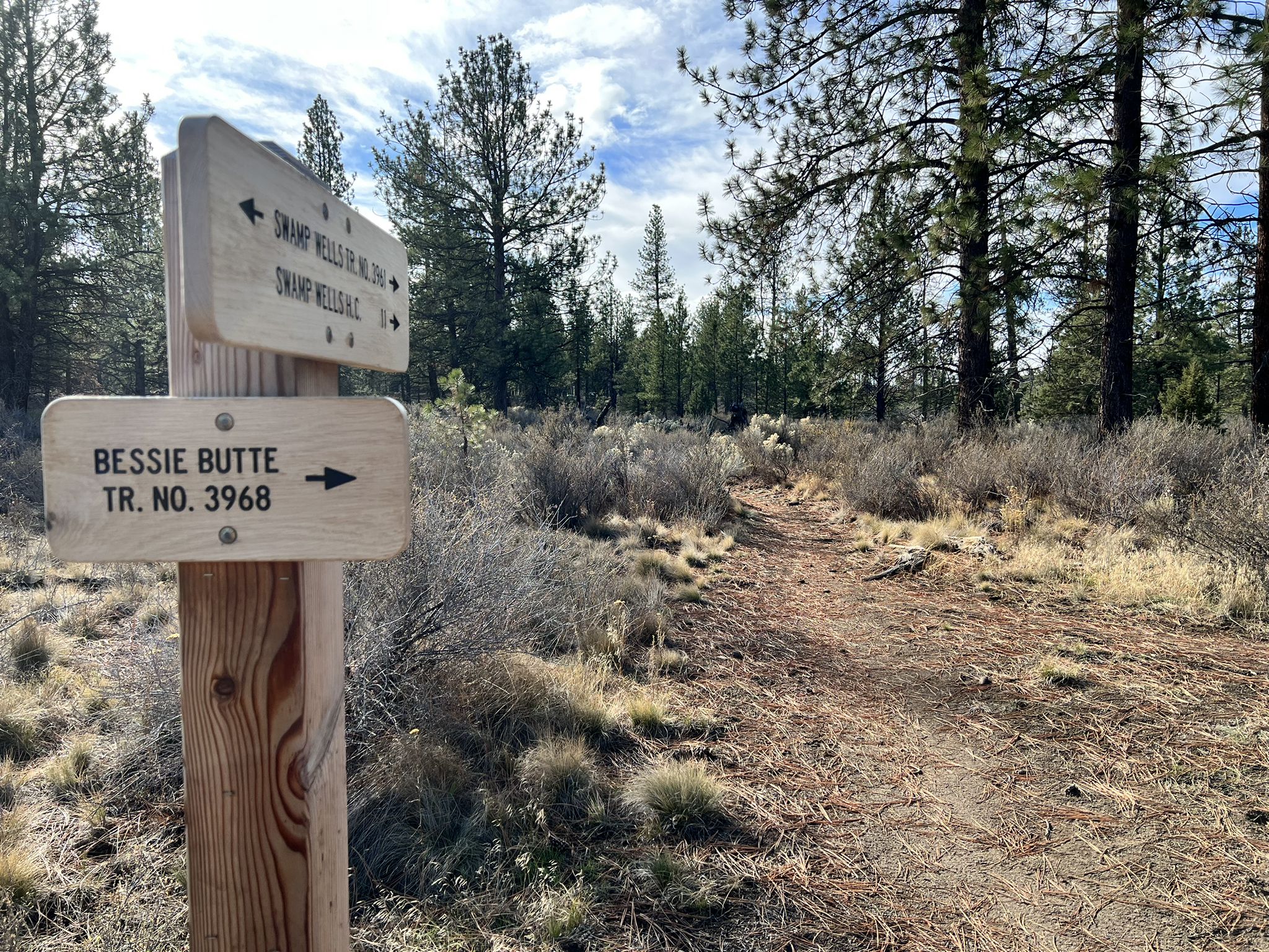 A wooden trail sign stands beside a dirt path in a sparse forest. - Horse Butte – Boyd Cave Spur Trail loop from Healing Reins