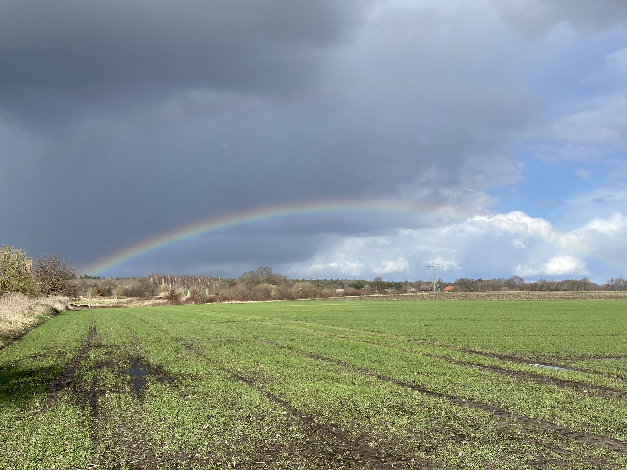 Die dunklen Wolken ziehen knapp vorbei.