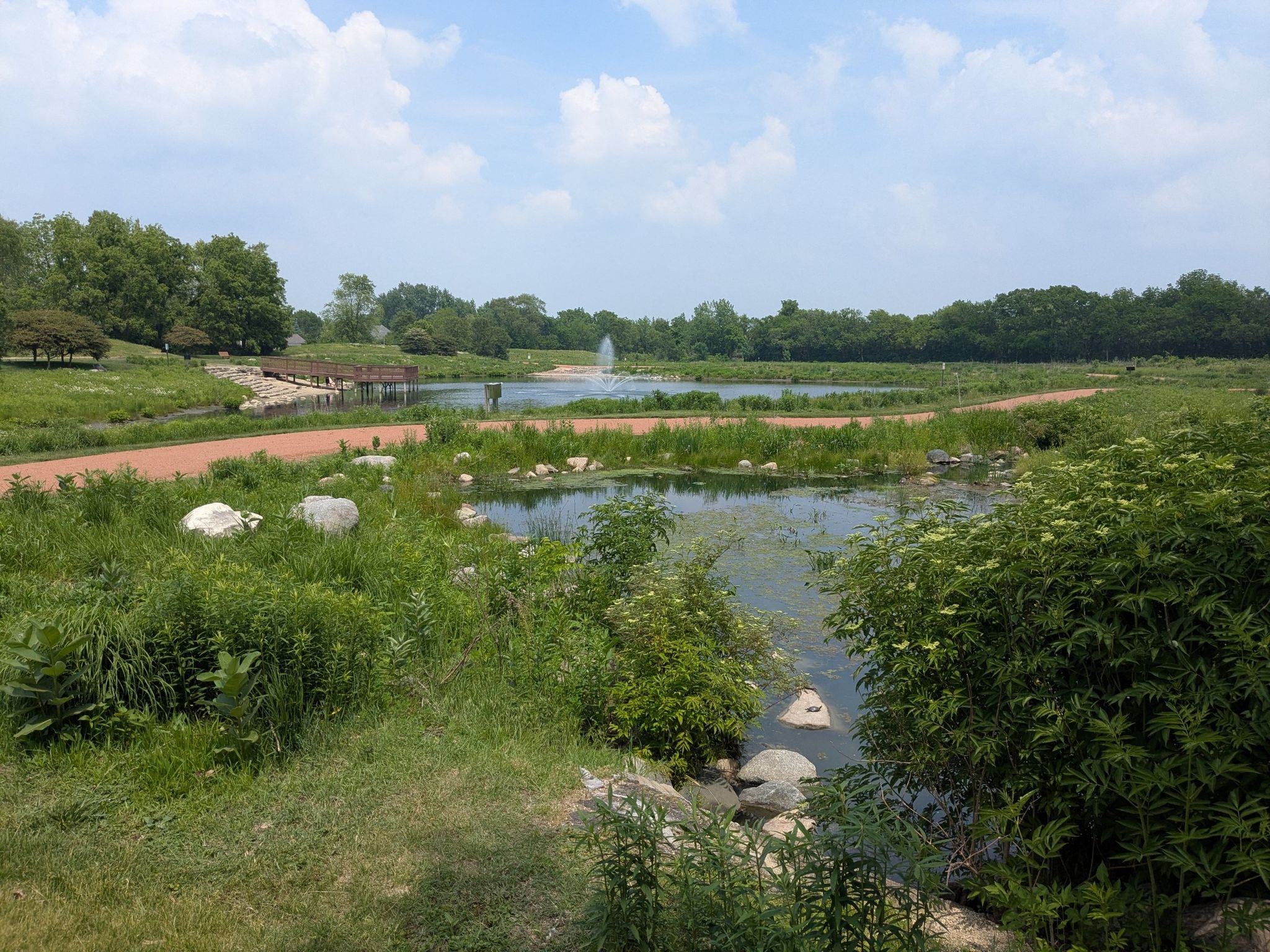 A pond with a fountain, surrounded by green grass and trees under a cloudy sky. - Gun Club Lake loop from Frankfort Square