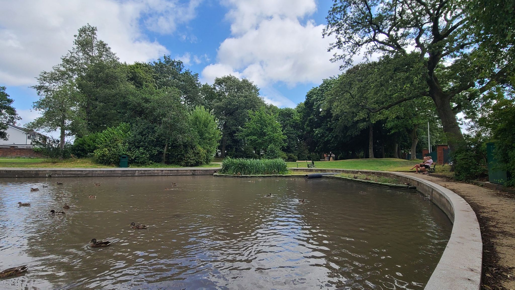 Duck Pond