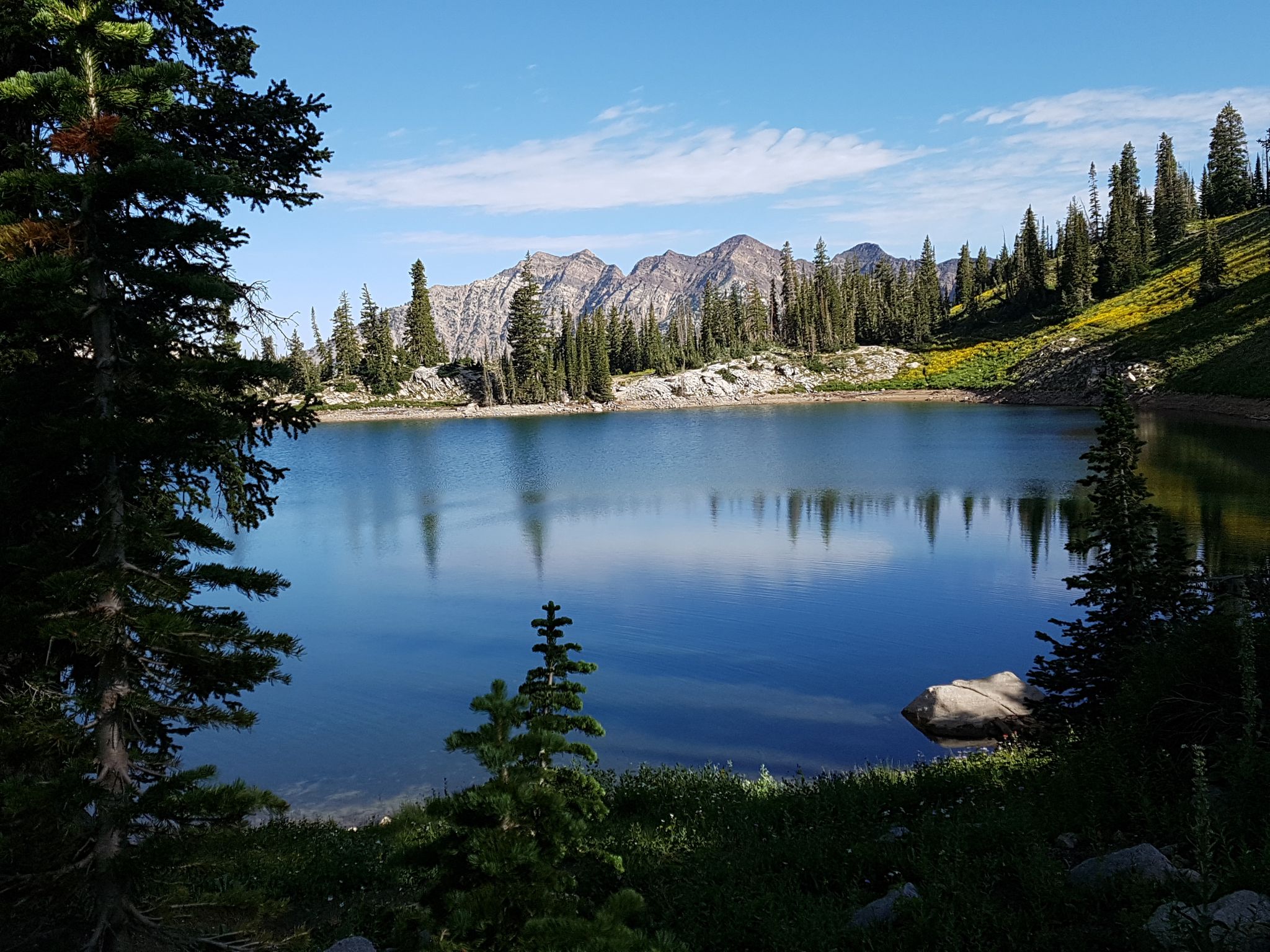 Serene mountain lake reflecting blue sky and surrounding pine trees on a sunny day. - Red Pine Lake Trail