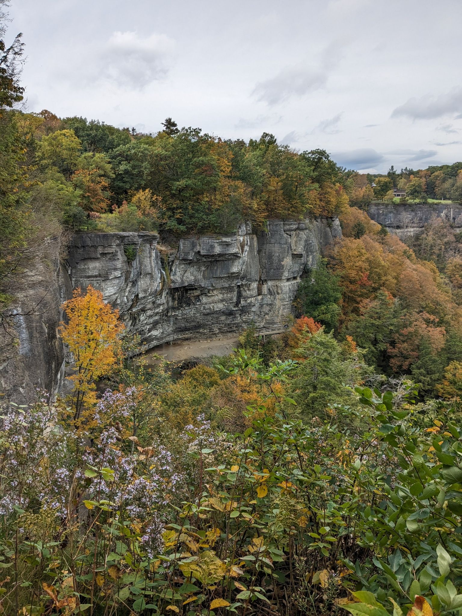 Overcast view of rocky cliffs surrounded by dense autumn foliage. - Hiking trail along the cliffs – Waterfall at Thacher Park loop from future preserve