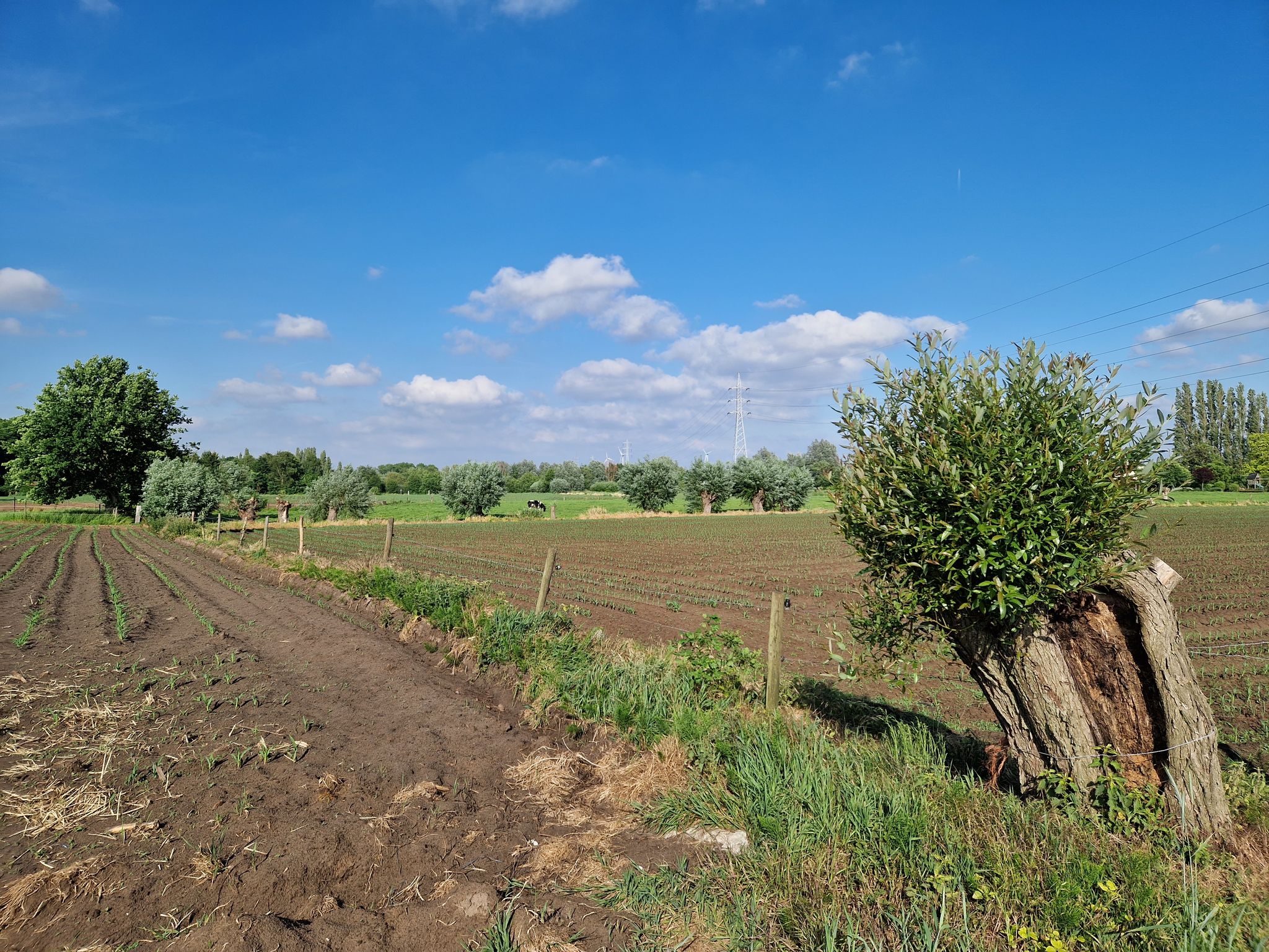 Zicht van op de Steenhovewegel