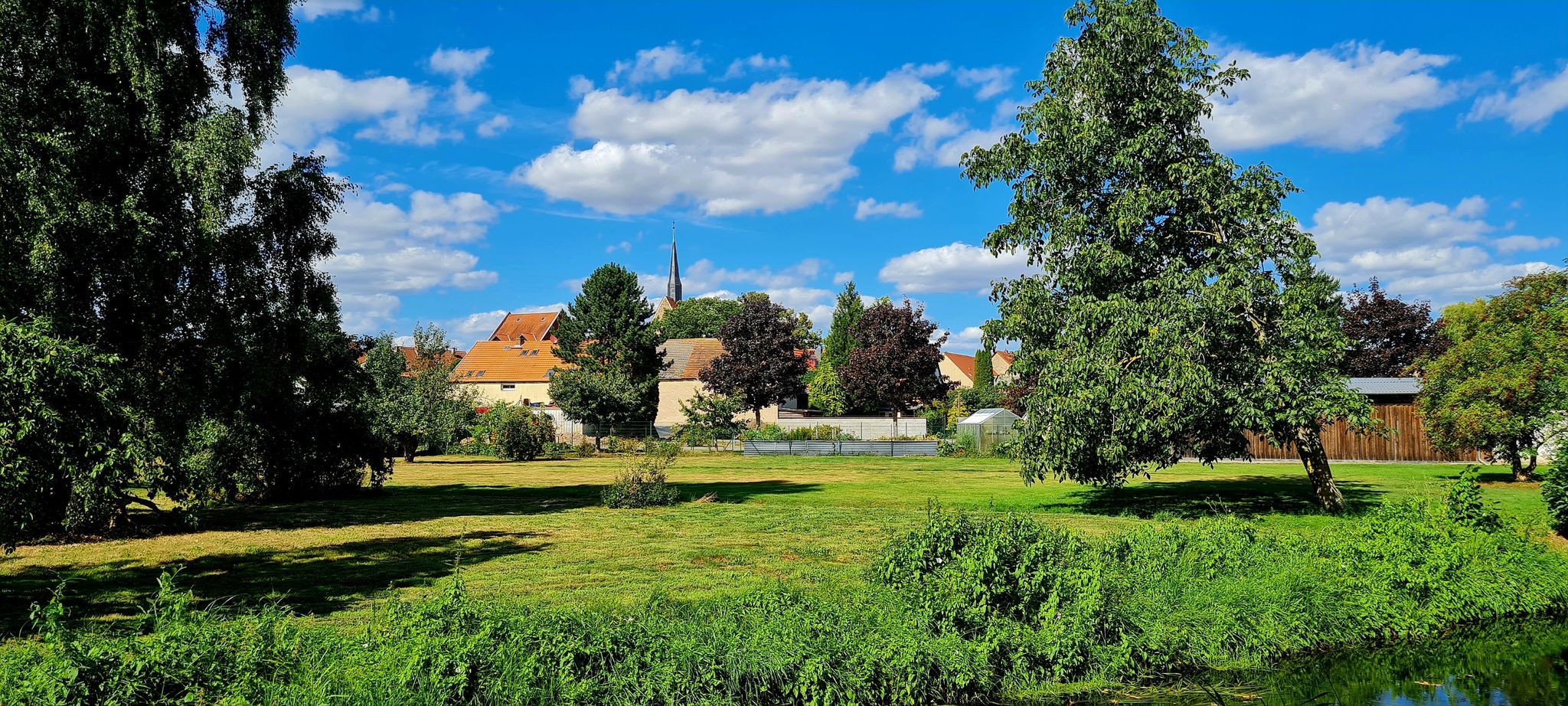 Blick auf St. Nikolai, Kalbe