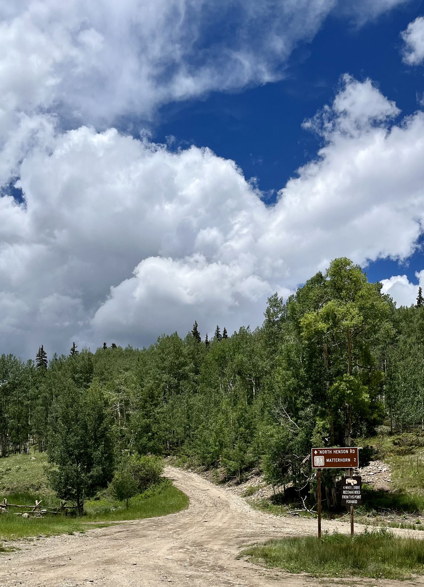 Dirt road winding through a dense forest under a bright, cloudy sky. - Engineer Pass Road