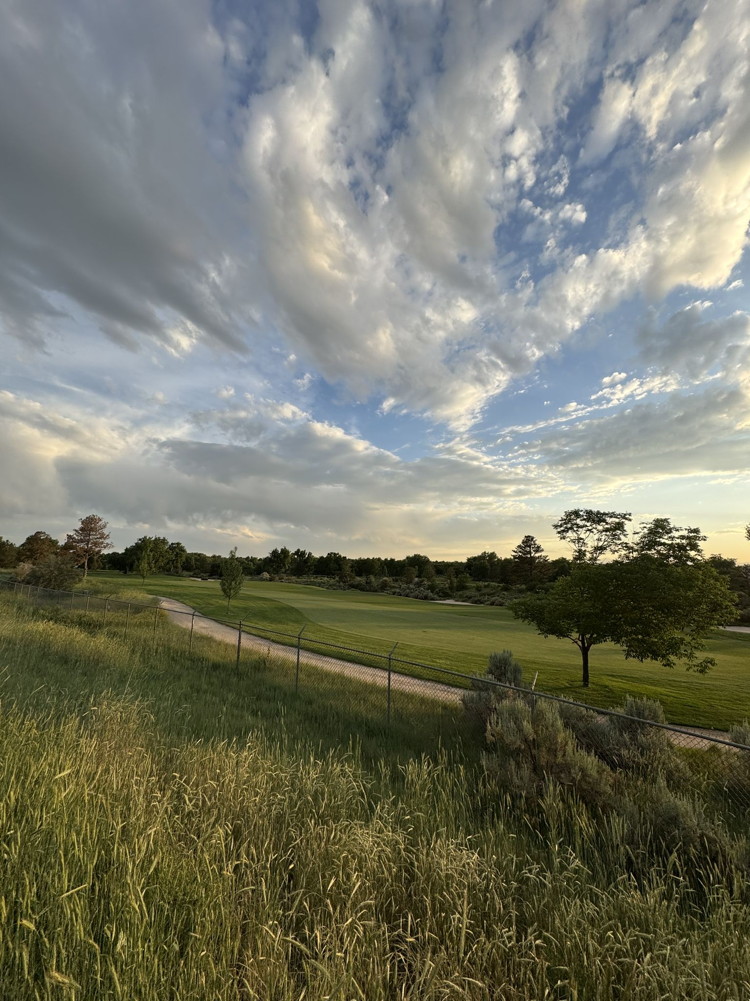 A vast green landscape with a golf course under a dramatic cloudy sky. - Four Mile Historic Park – Cherry Creek Trail loop from High Line Canal Trail