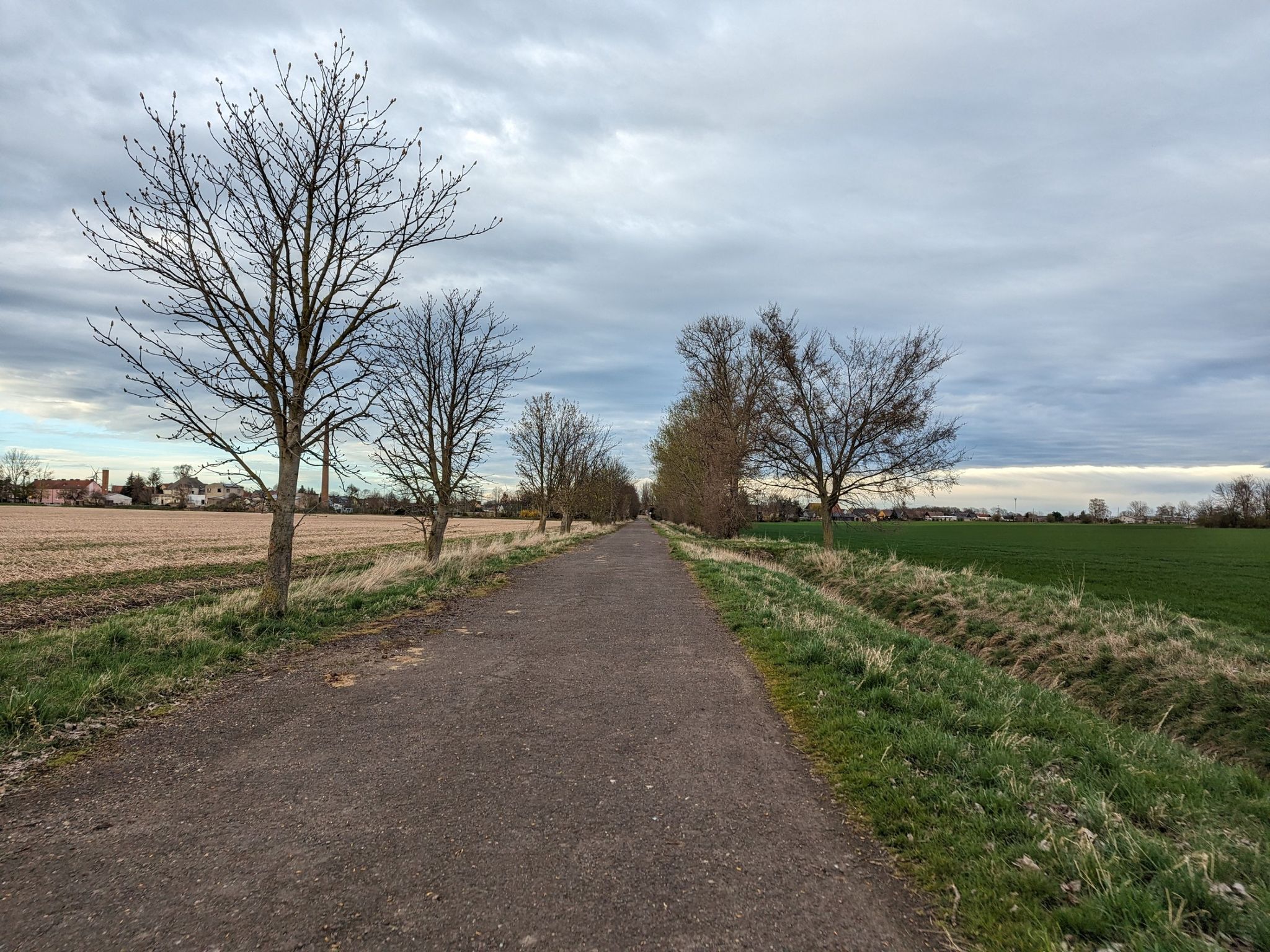 buckliger Asphalt auf dem Weg nach Atzendorf