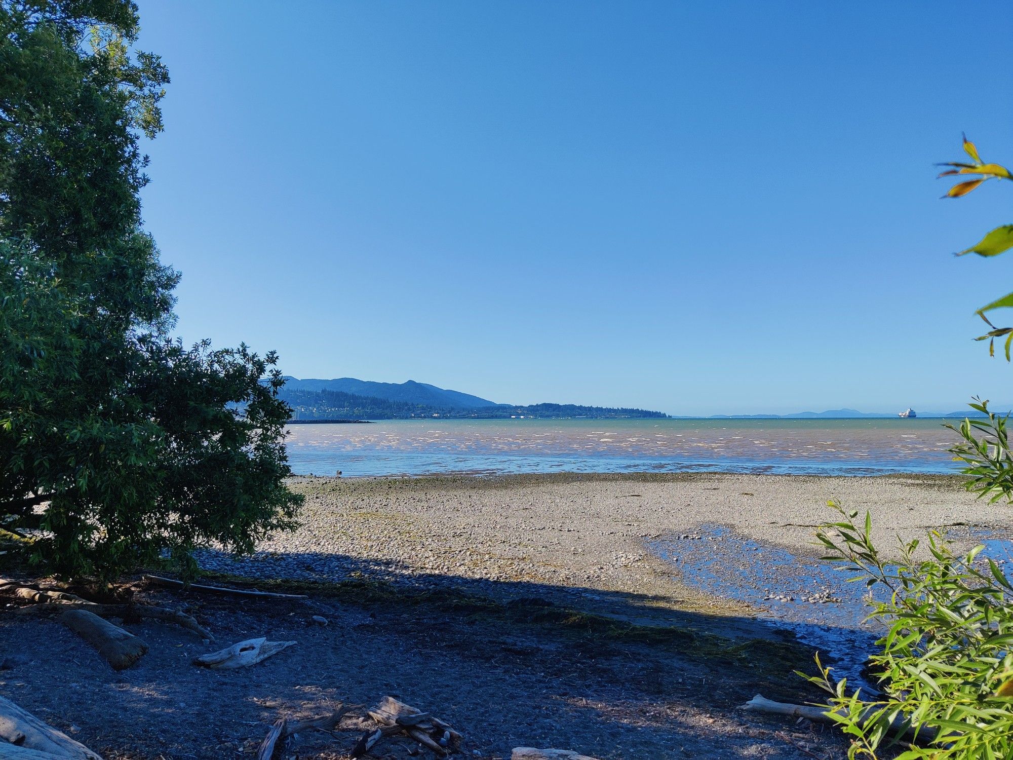 Sunny day on a rocky beach with calm water, distant mountains, and trees. - Little Squalicum Park Walk