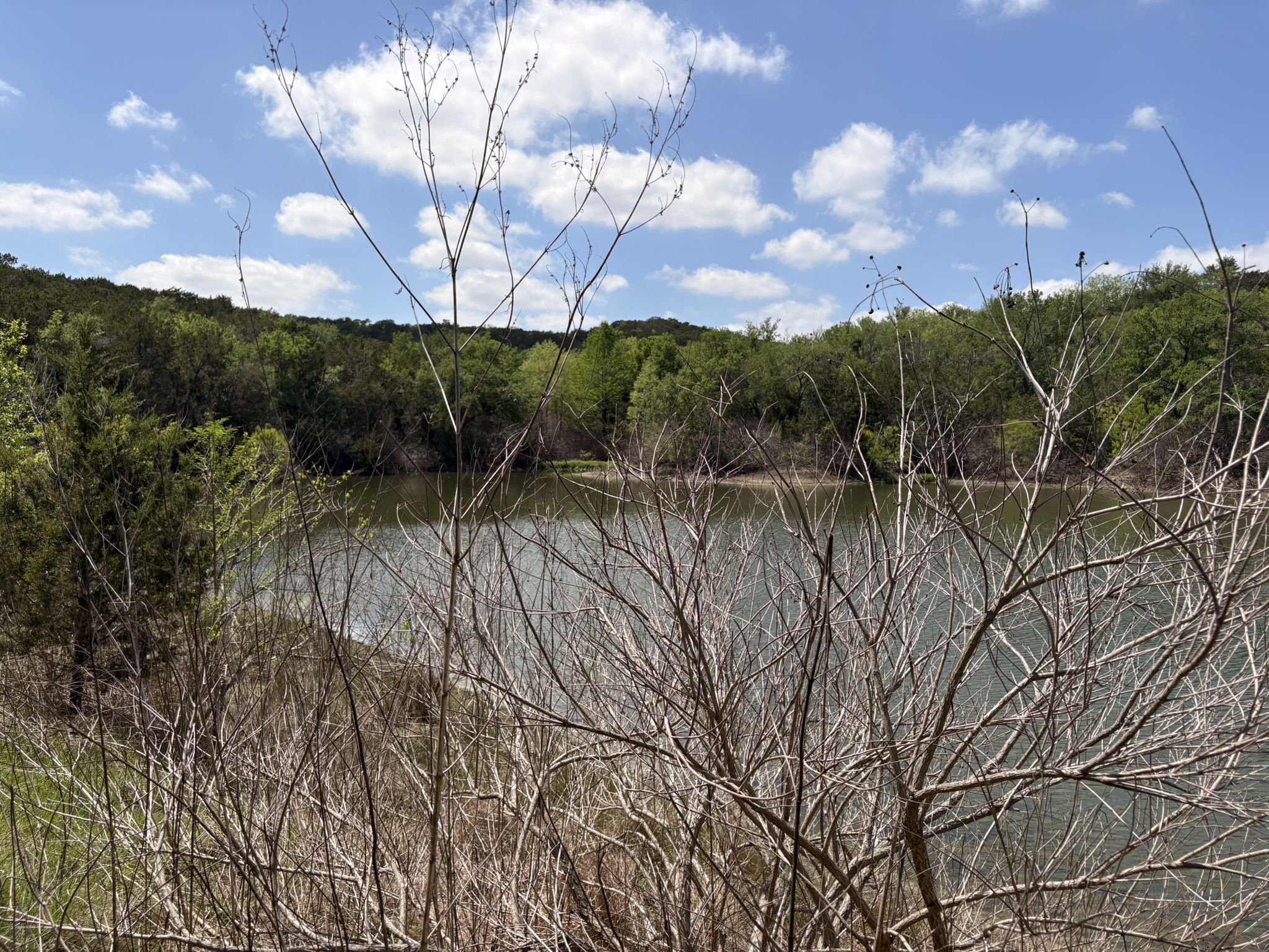 Bare branches frame a calm lake surrounded by green trees under a cloudy sky. - Southeast Metropolitan Park Primitive Trail
