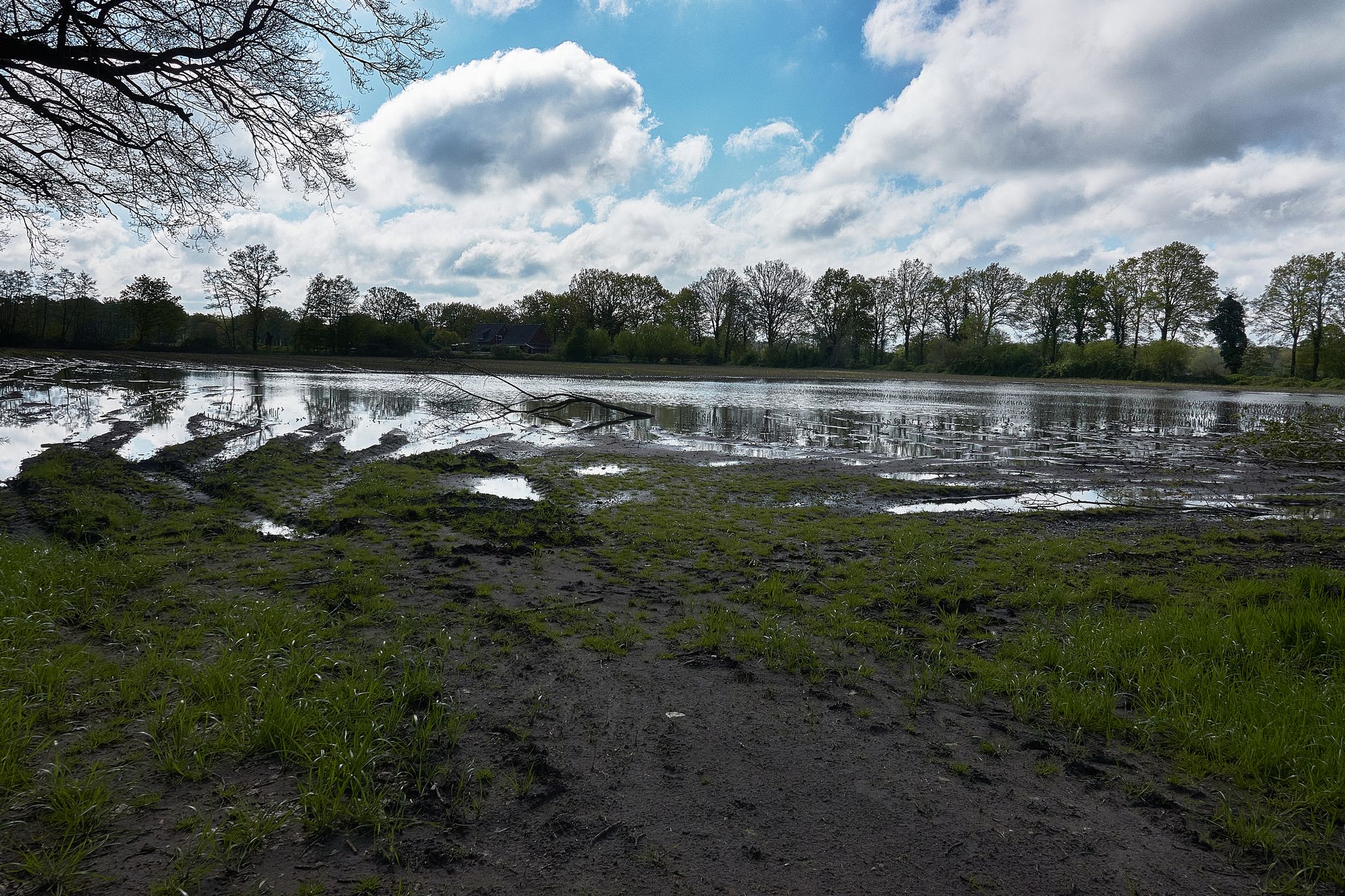 Der Acker ist dank des vielen Regens zum See geworden.