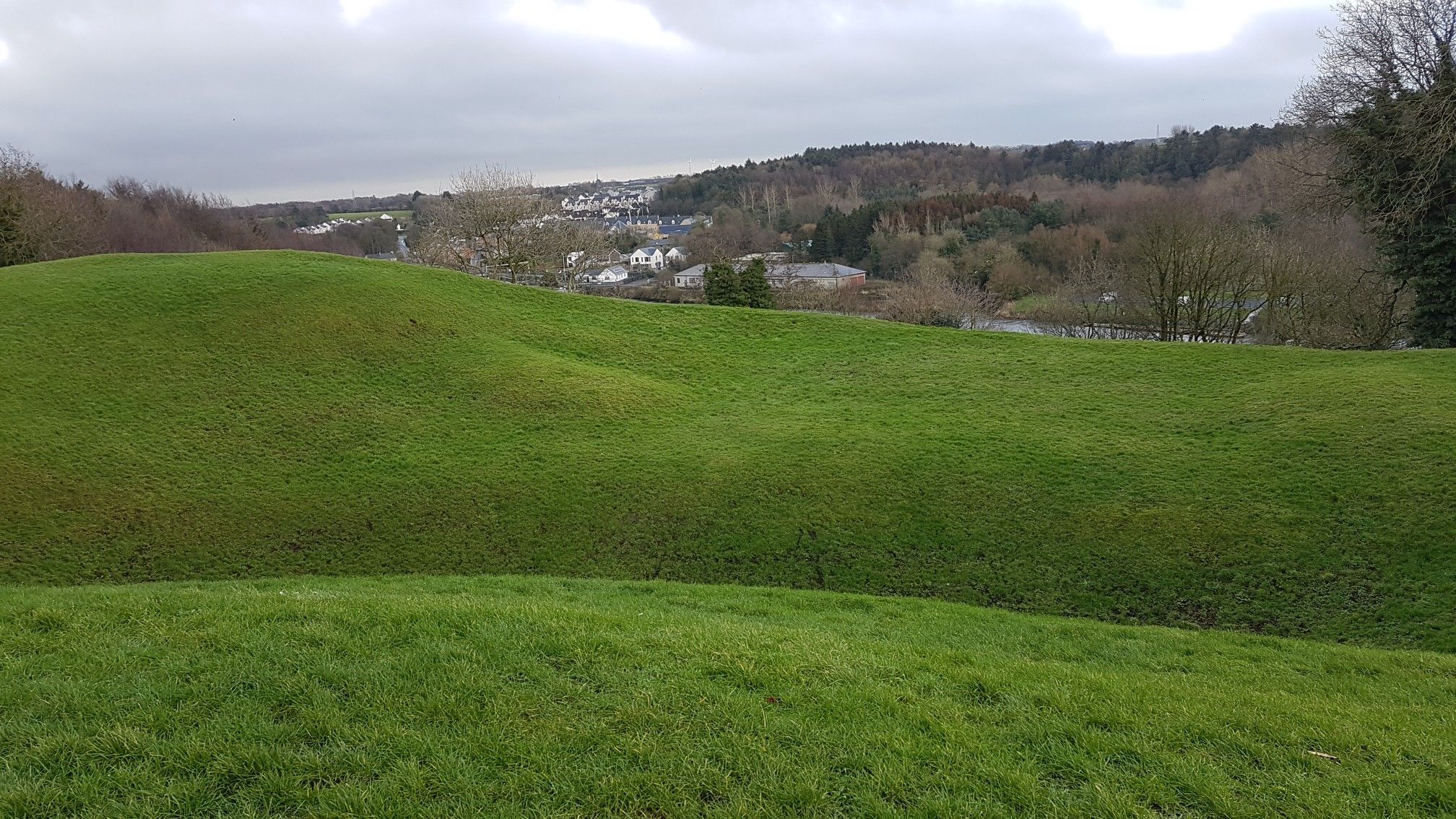 mountsandel fort