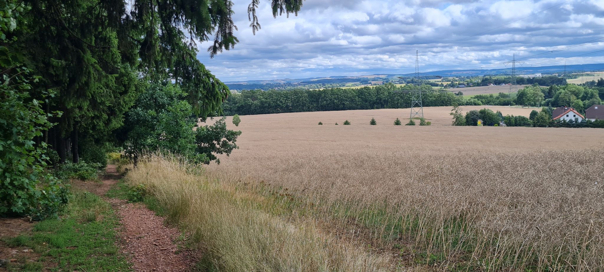 Schneller single trail