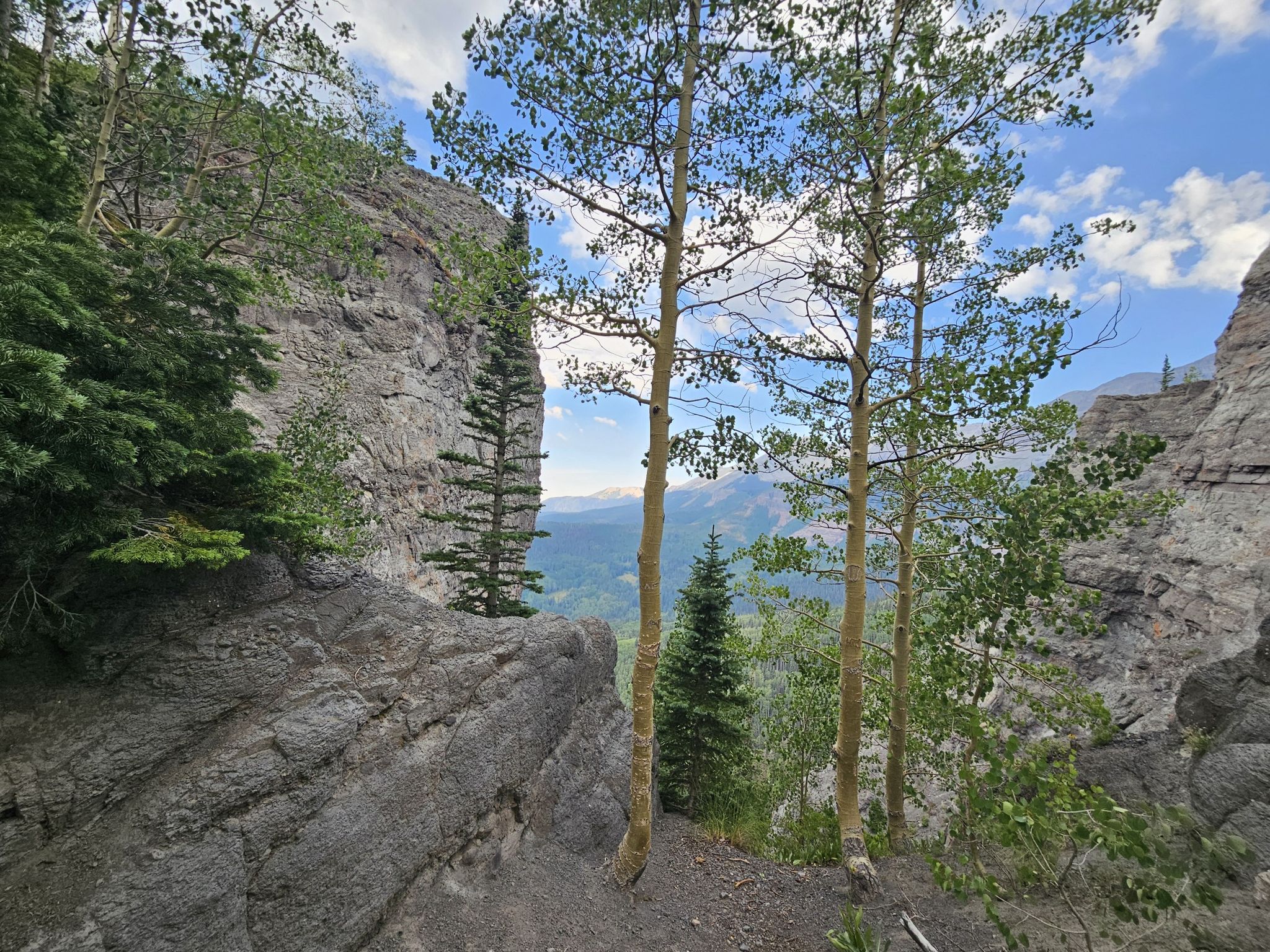 Tall aspen trees stand among rugged rock formations overlooking a valley. - Sneffels Highline Trail Loop