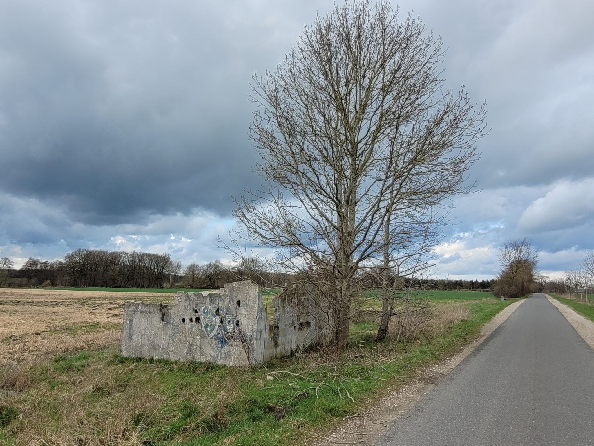 Alte Scheune