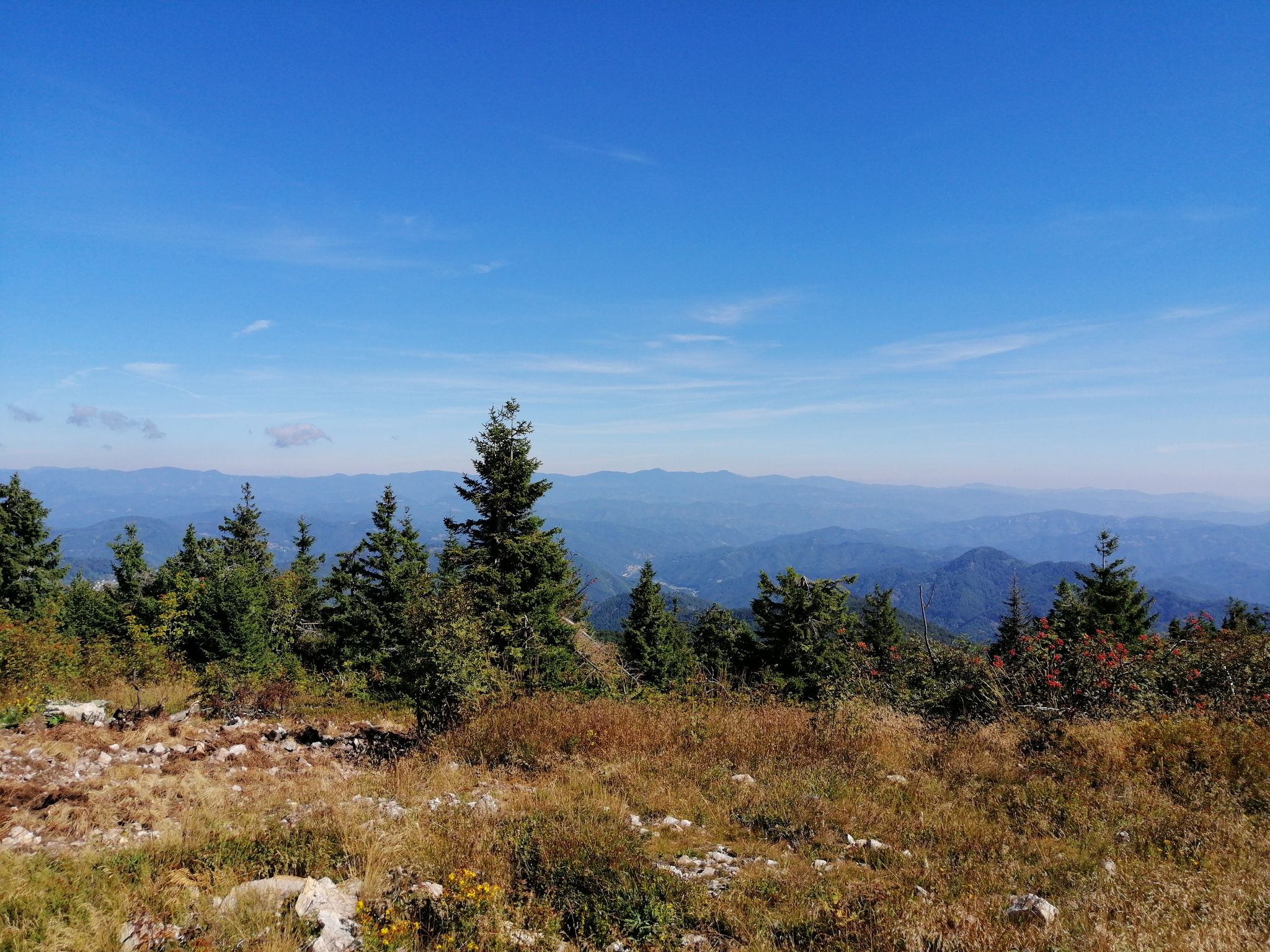 Bulgaria
