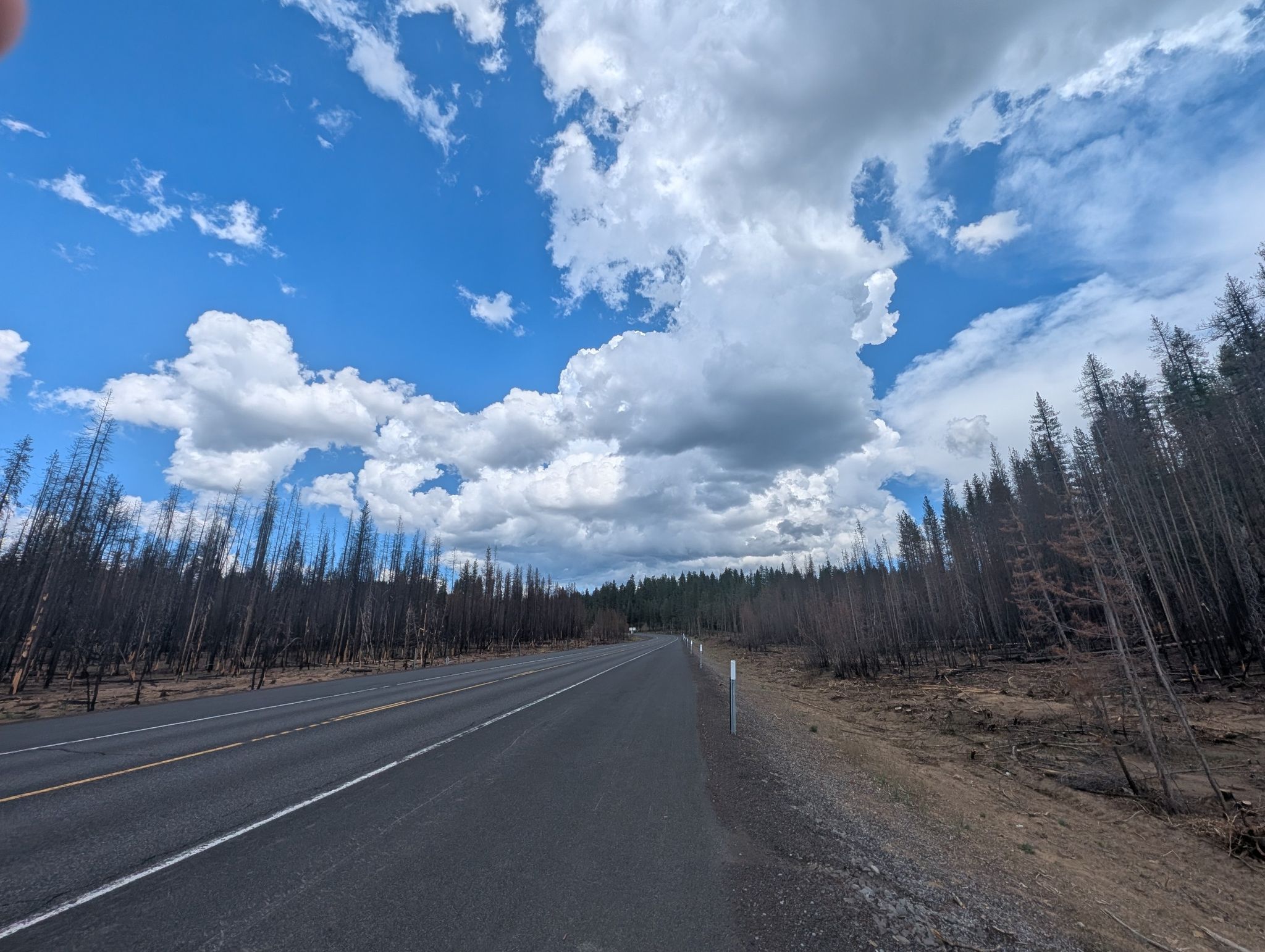 Paved road through a forest of burnt trees under a cloudy sky. - The Village at Sunriver – The Village at Sunriver loop from Sunriver